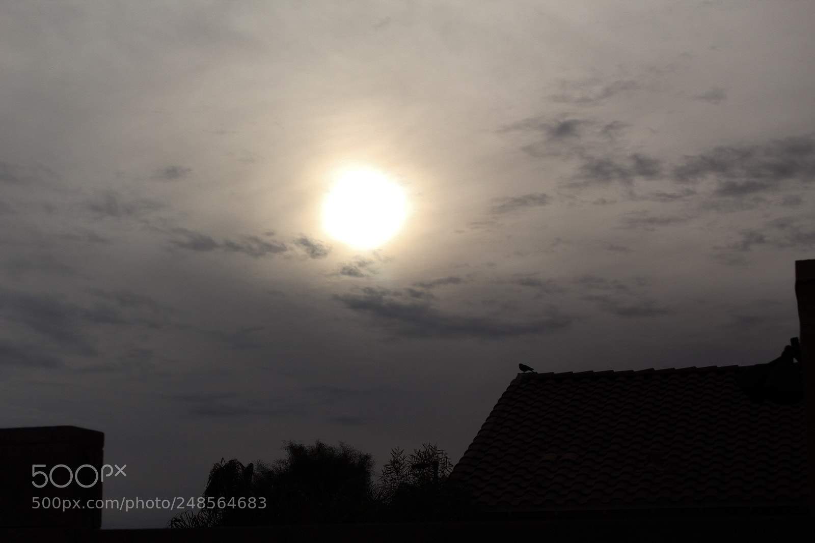Canon EOS 1300D (EOS Rebel T6 / EOS Kiss X80) sample photo. Gloomy photography