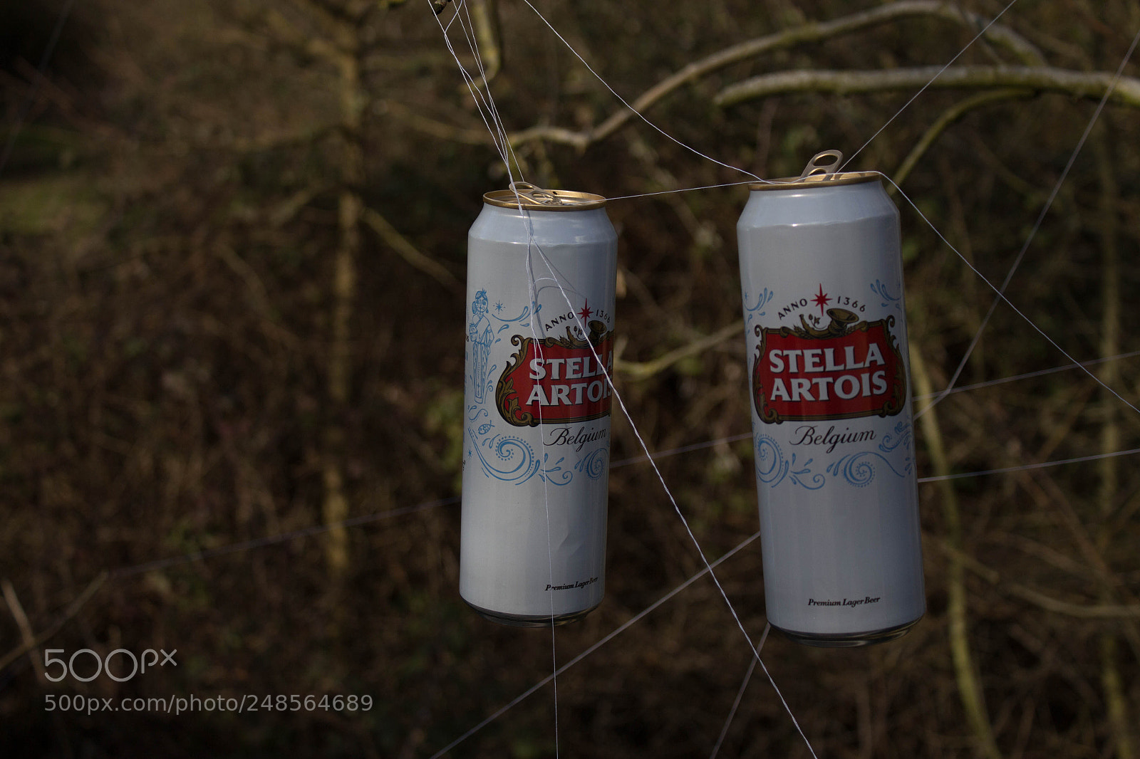 Canon EOS 700D (EOS Rebel T5i / EOS Kiss X7i) sample photo. Beer grows on trees photography