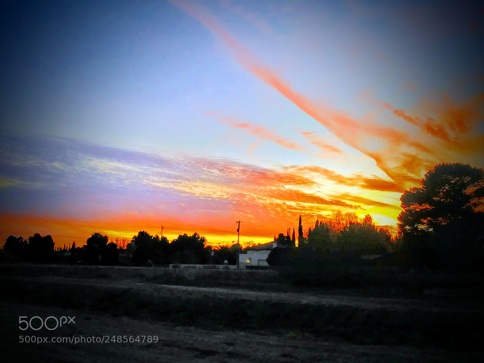 LG ARISTO sample photo. Untitled photography