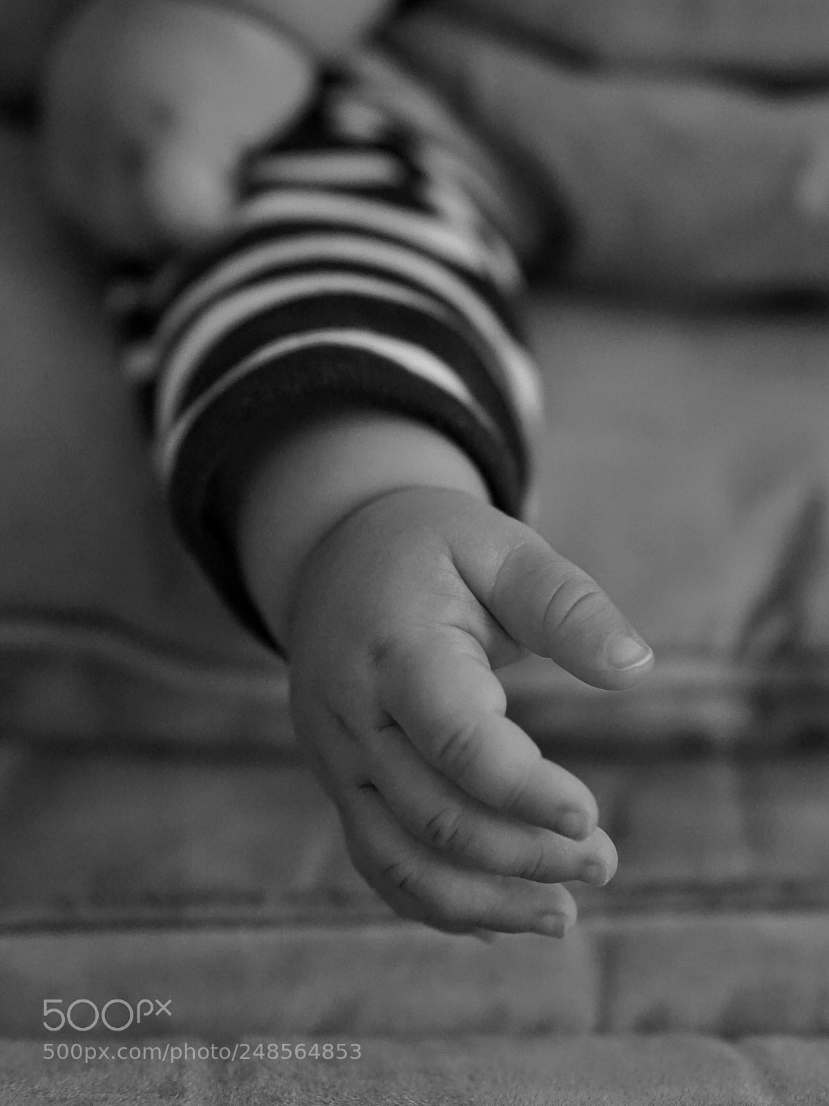 Sony a5100 sample photo. Untitled photography