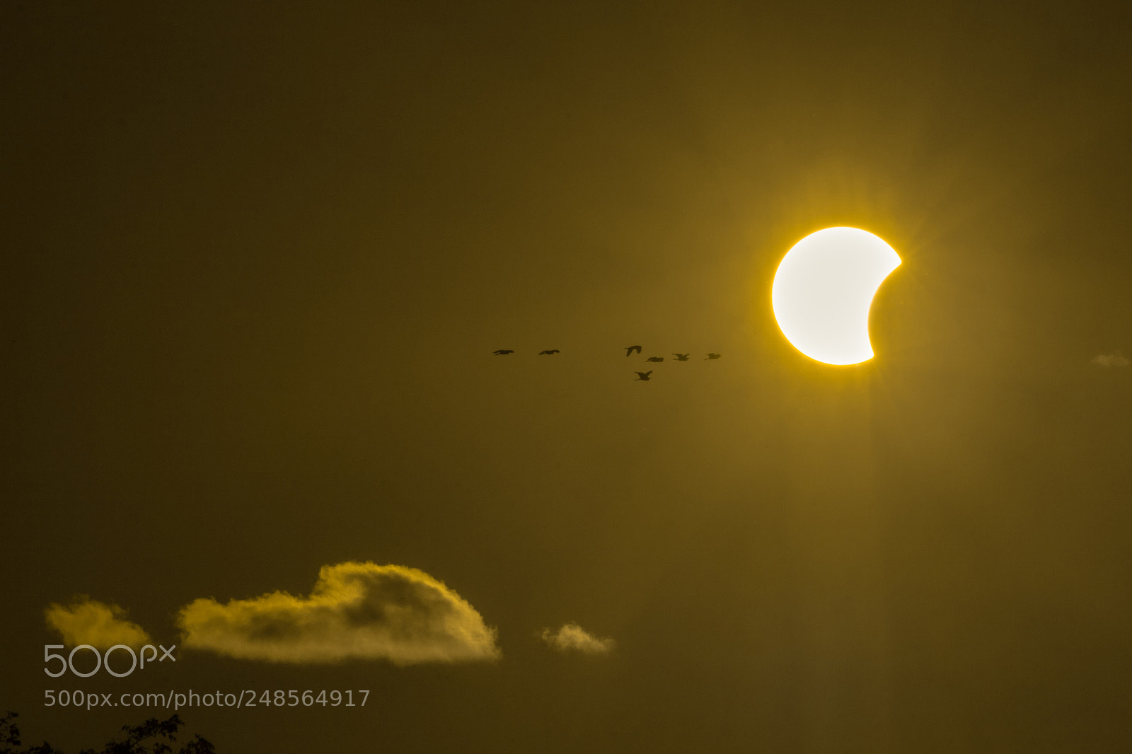 Canon EOS 50D sample photo. Eclipse photography