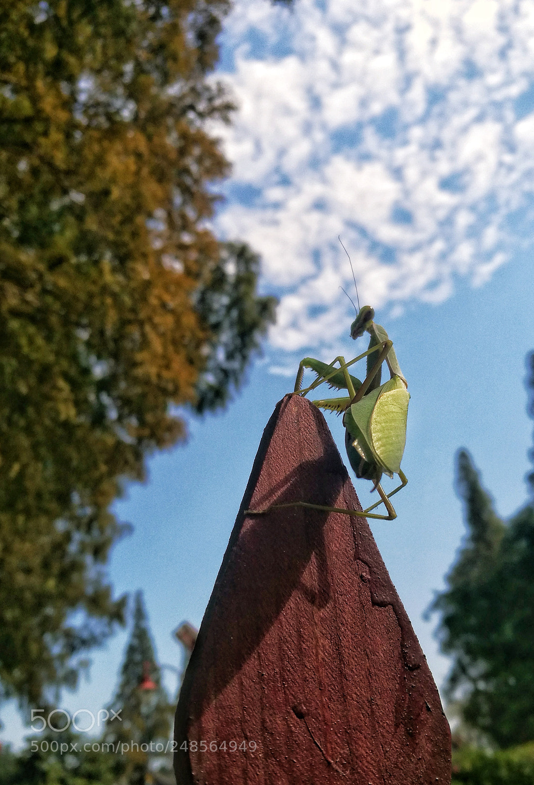 HUAWEI P9 sample photo. 无限风光在险峰 photography