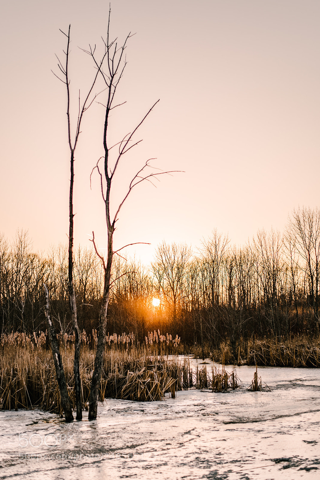Nikon D750 sample photo. Frozen sunset photography
