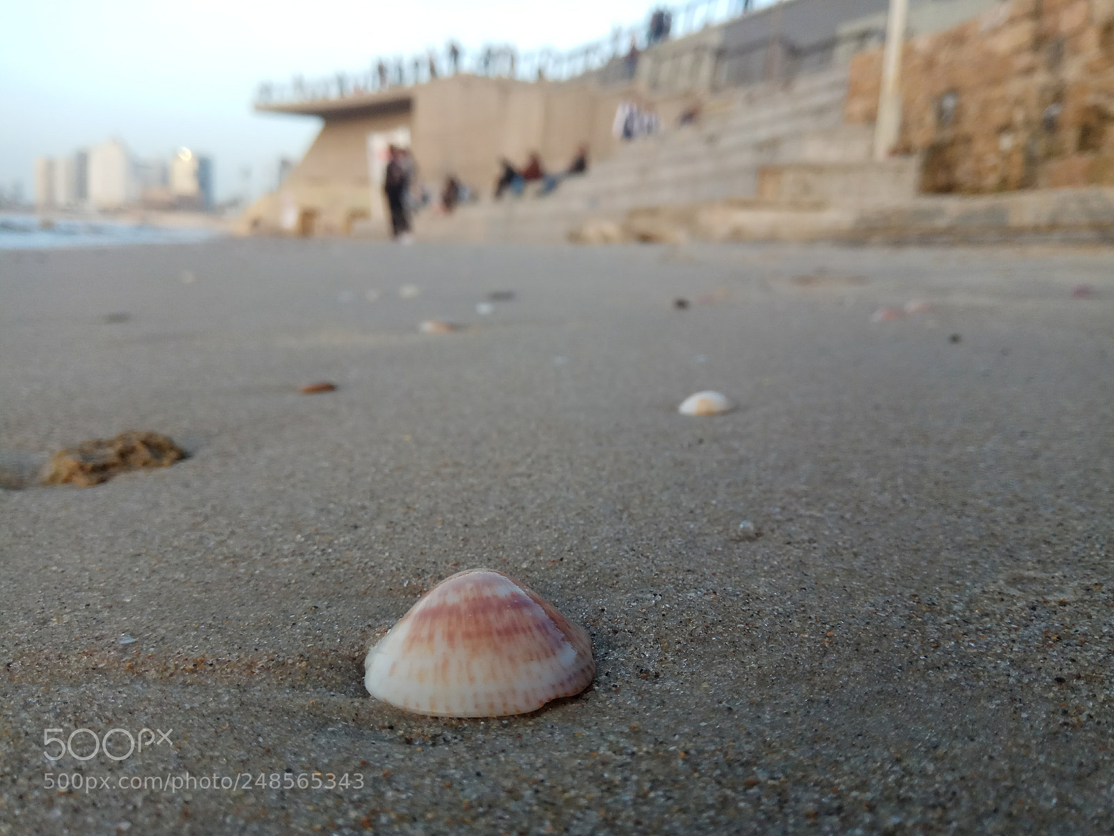 Xiaomi Redmi Note 4X sample photo. Untitled photography