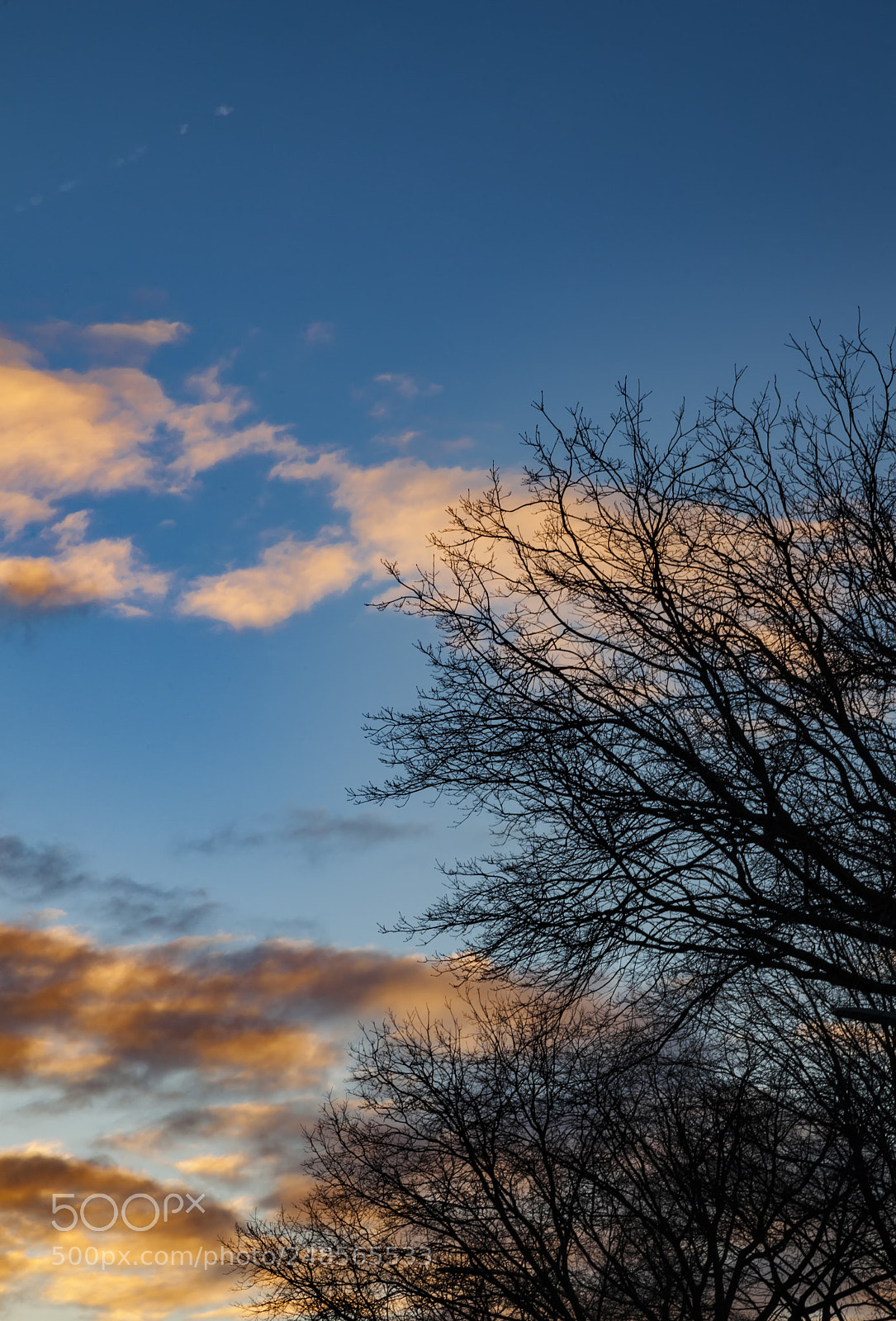 Canon EOS 5D Mark II sample photo. Clouds sky trees at photography
