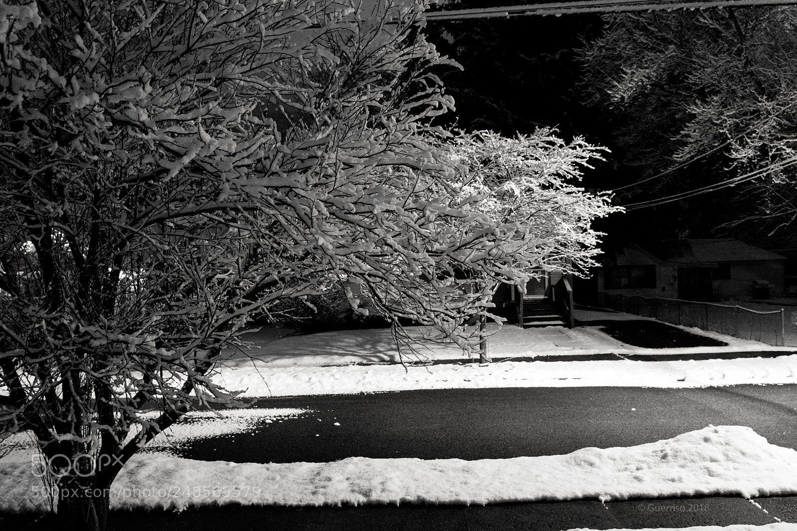 Nikon D500 sample photo. Early morning snow photography