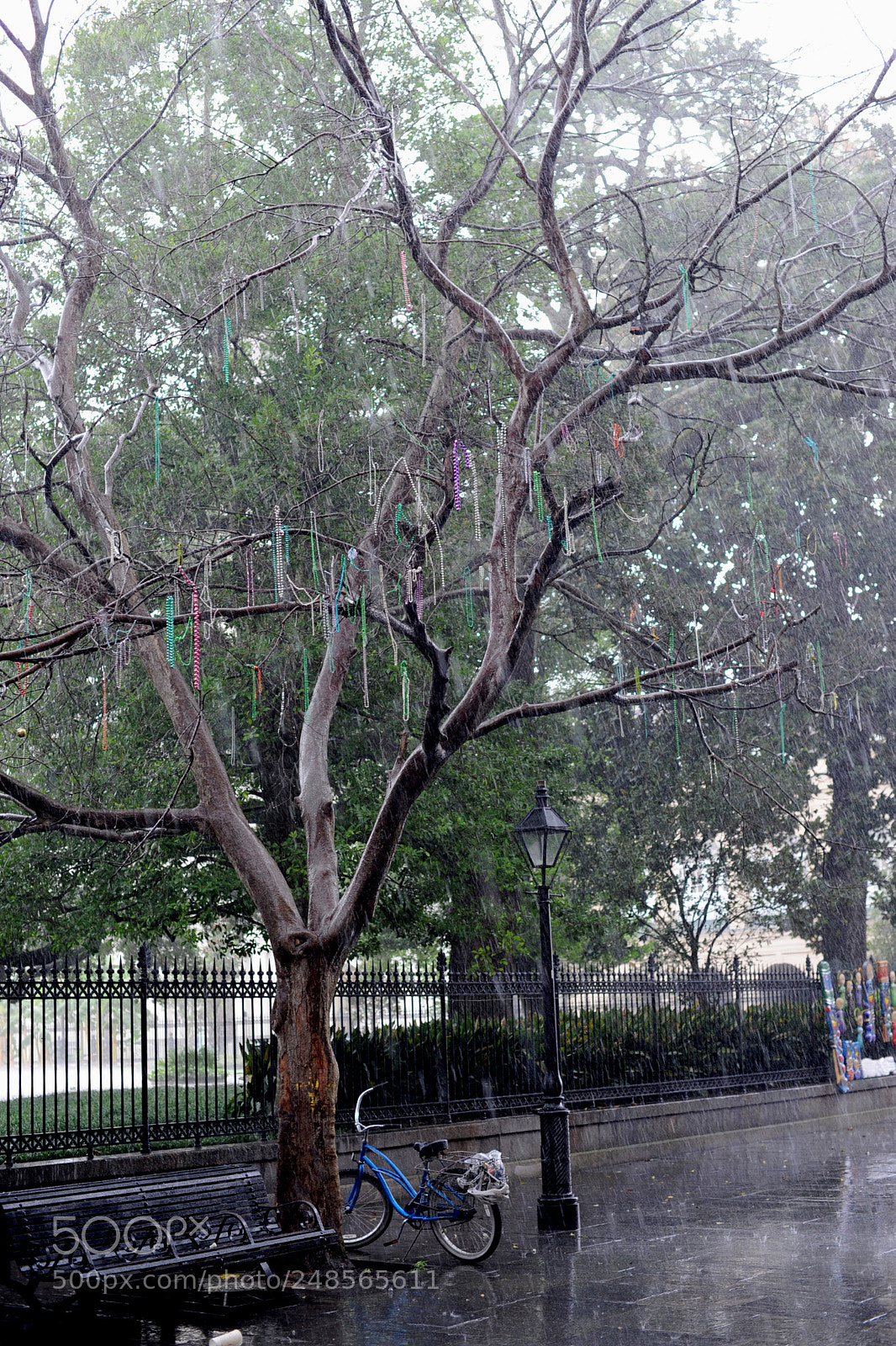 Nikon D700 sample photo. Rain on the french photography