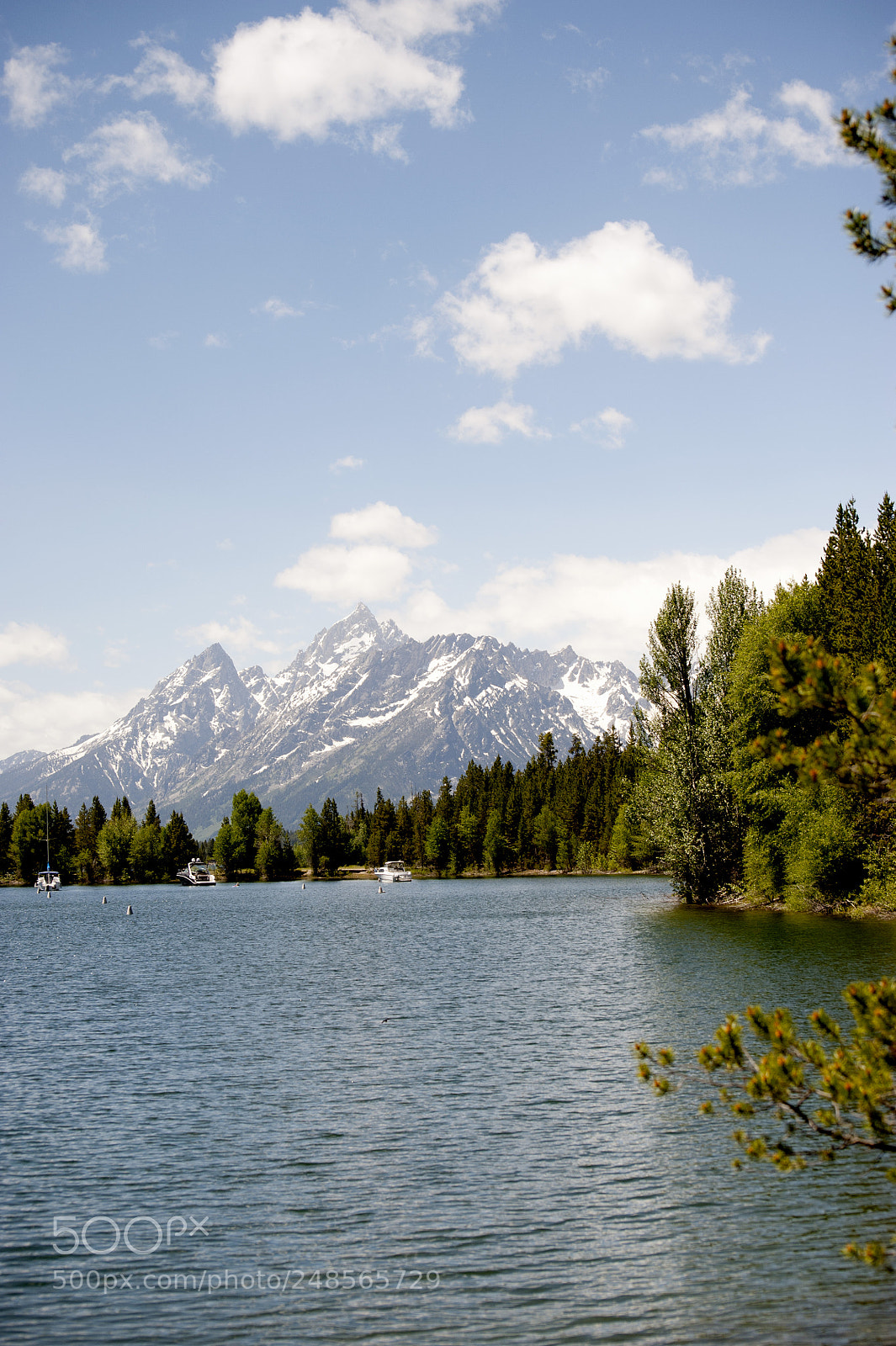Nikon D700 sample photo. Majectic tetons photography