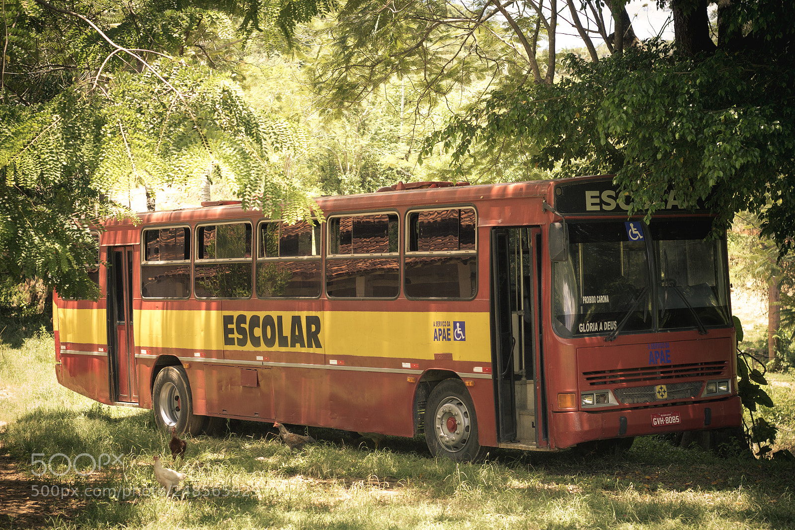 Canon EOS 60D sample photo. Aulas! photography