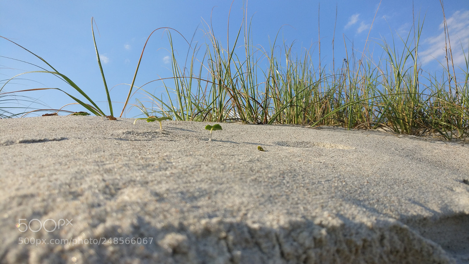 OnePlus A3000 sample photo. Up the sand slope photography
