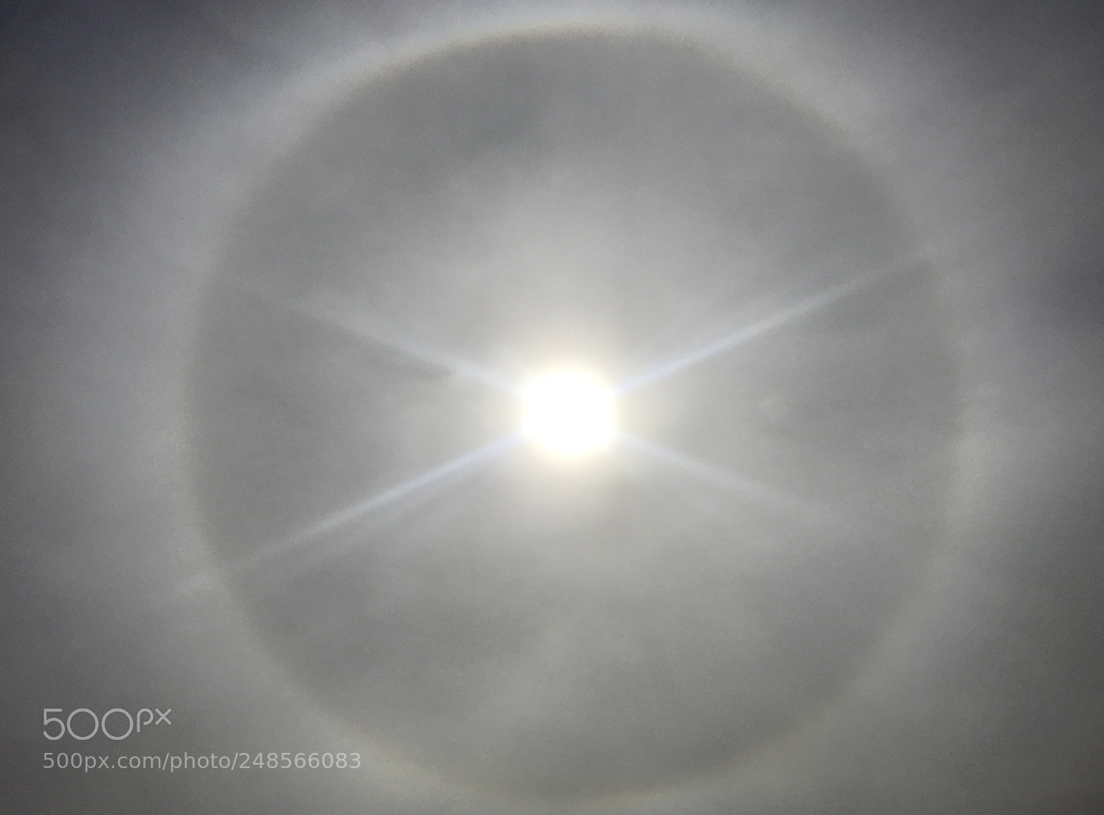 Apple iPhone 7 sample photo. Halo solar. photography