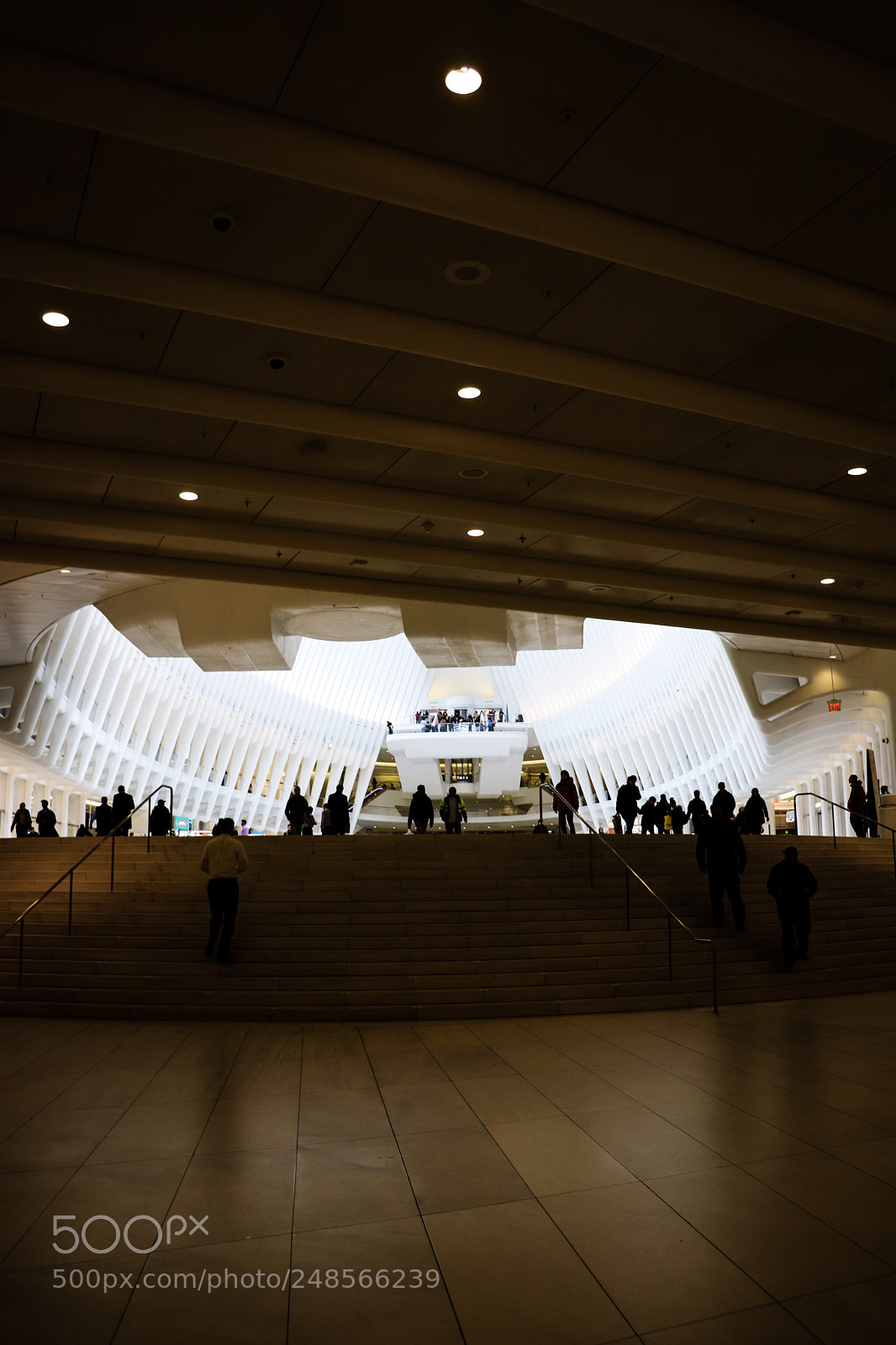 Canon EOS 77D (EOS 9000D / EOS 770D) sample photo. Oculus photography
