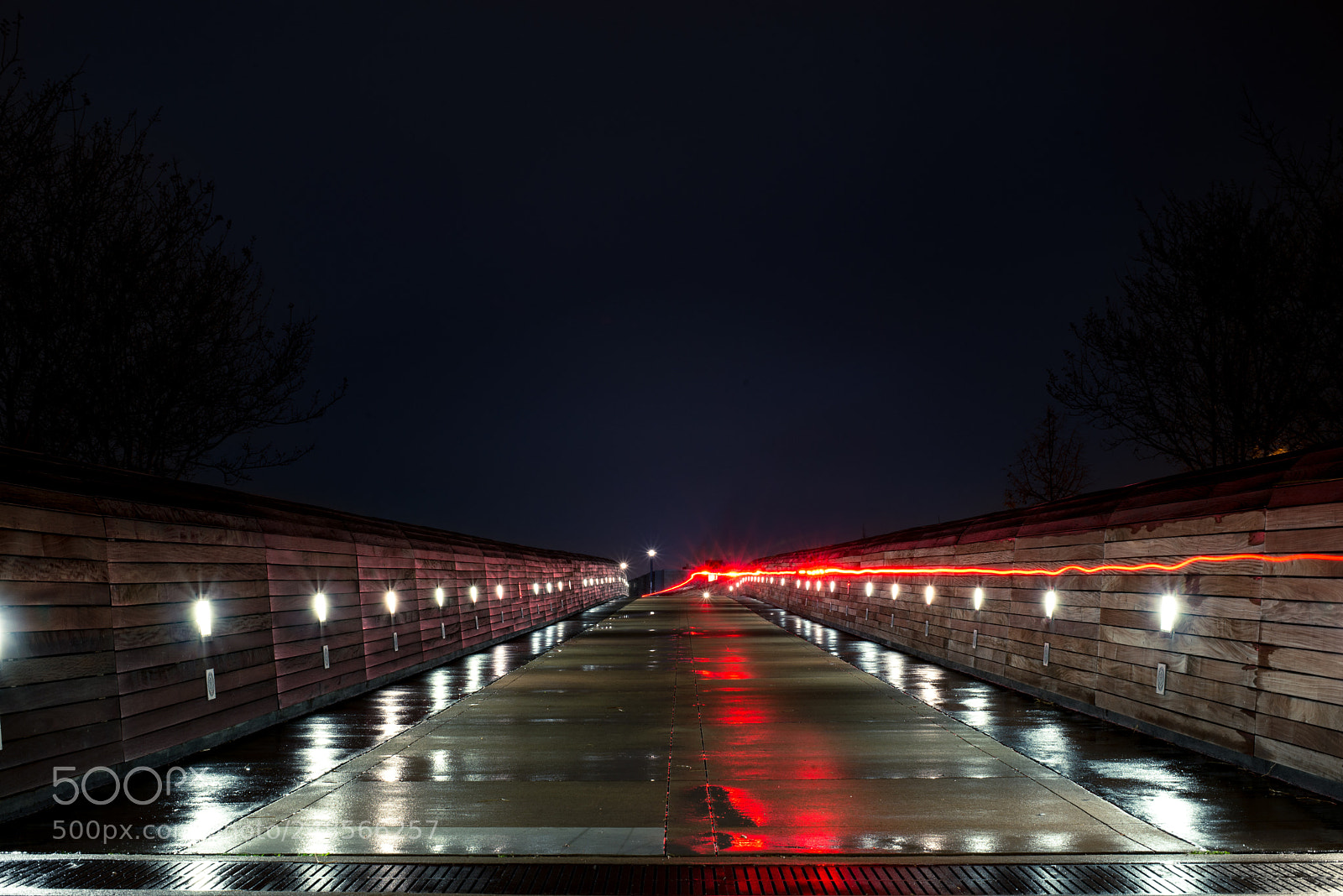 Nikon D610 sample photo. Austin bike light photography