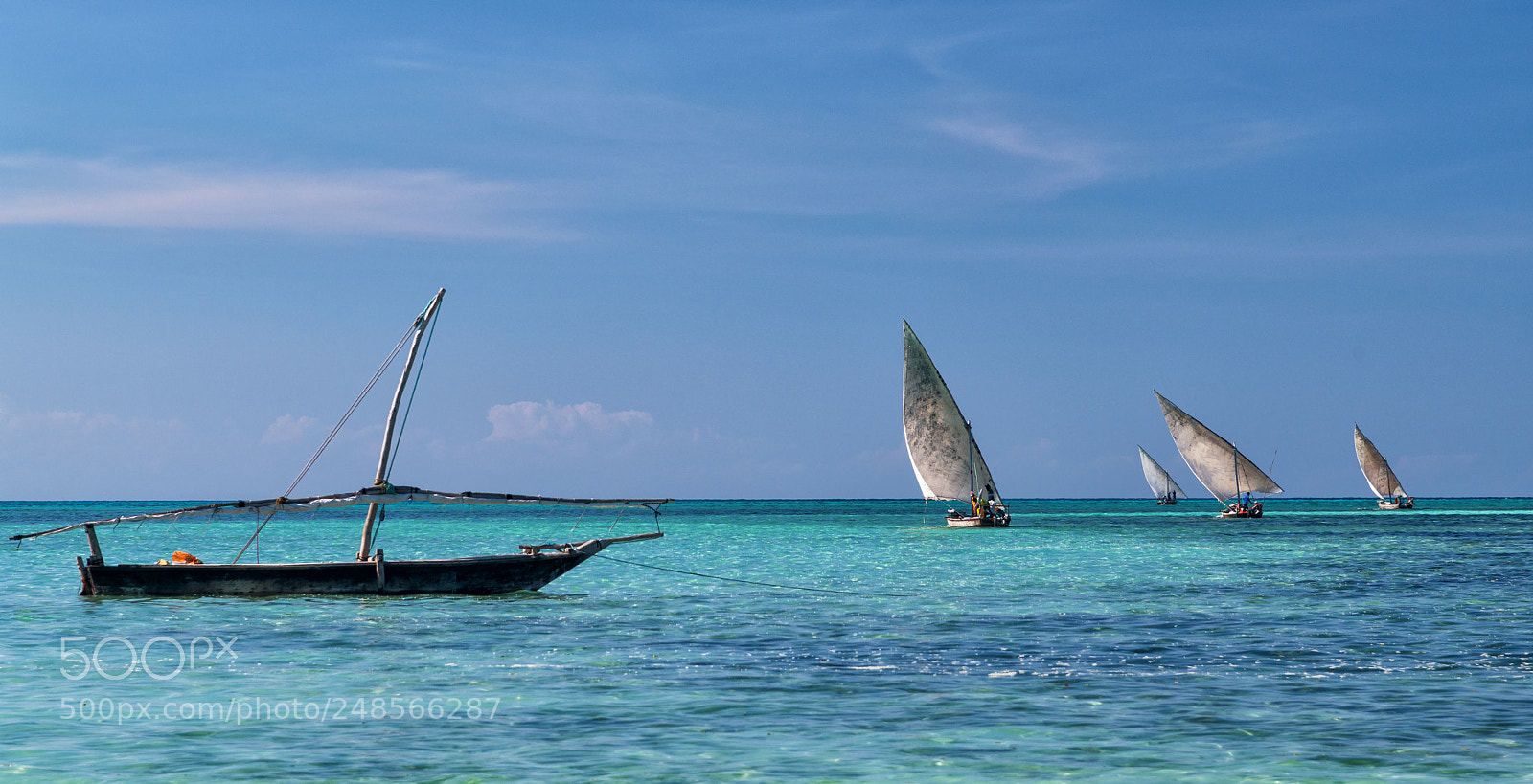 Nikon D850 sample photo. Fishing fleet, zanzibar photography