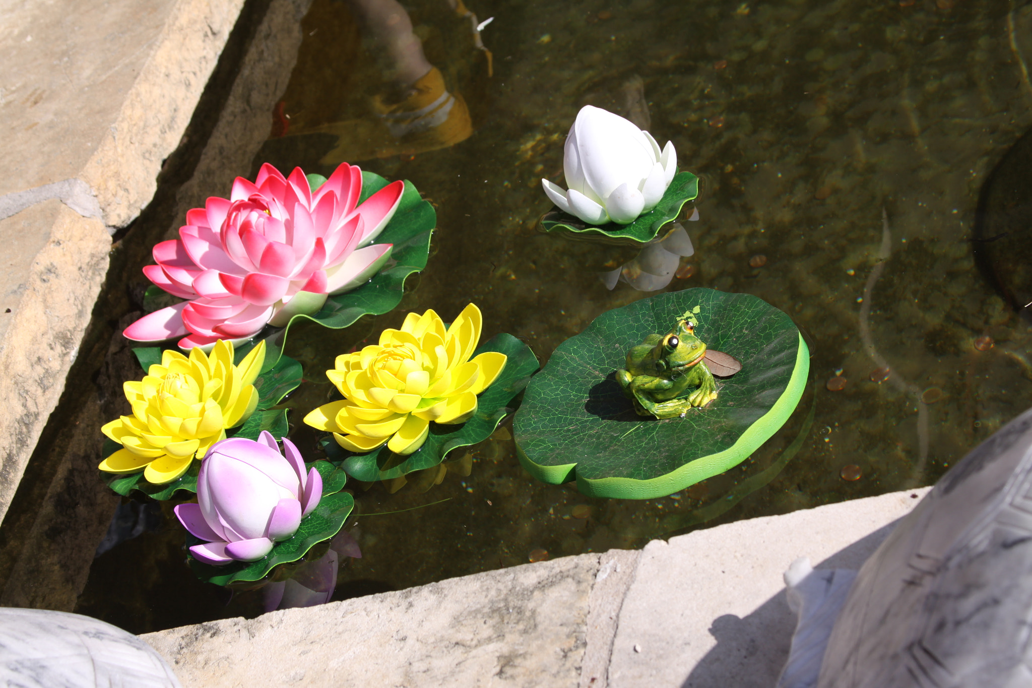 Canon EF 28-135mm F3.5-5.6 IS USM sample photo. Img photography