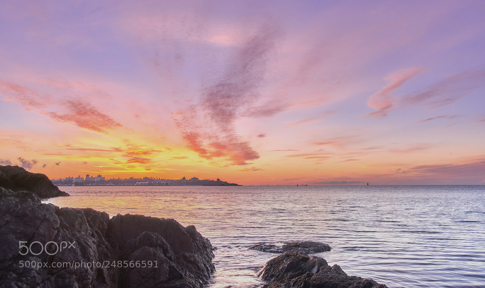 Nikon D500 sample photo. Pink & purple sunrise photography