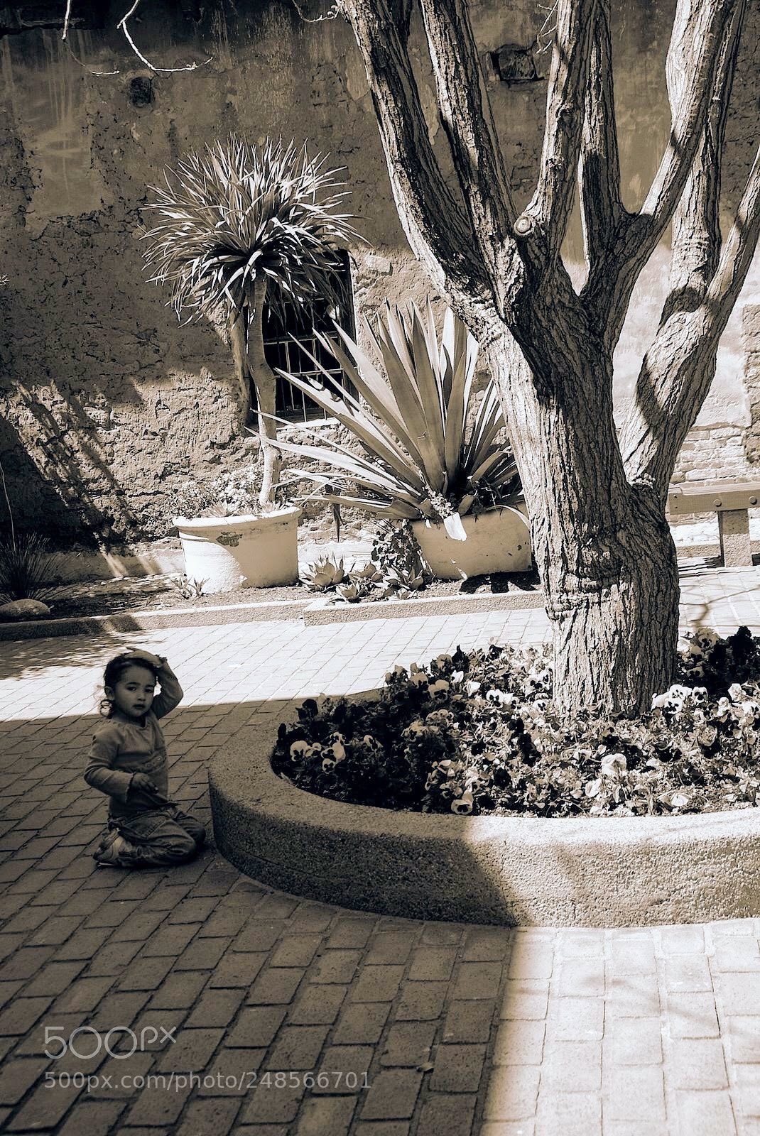 Sony Alpha DSLR-A200 sample photo. Untitled photography