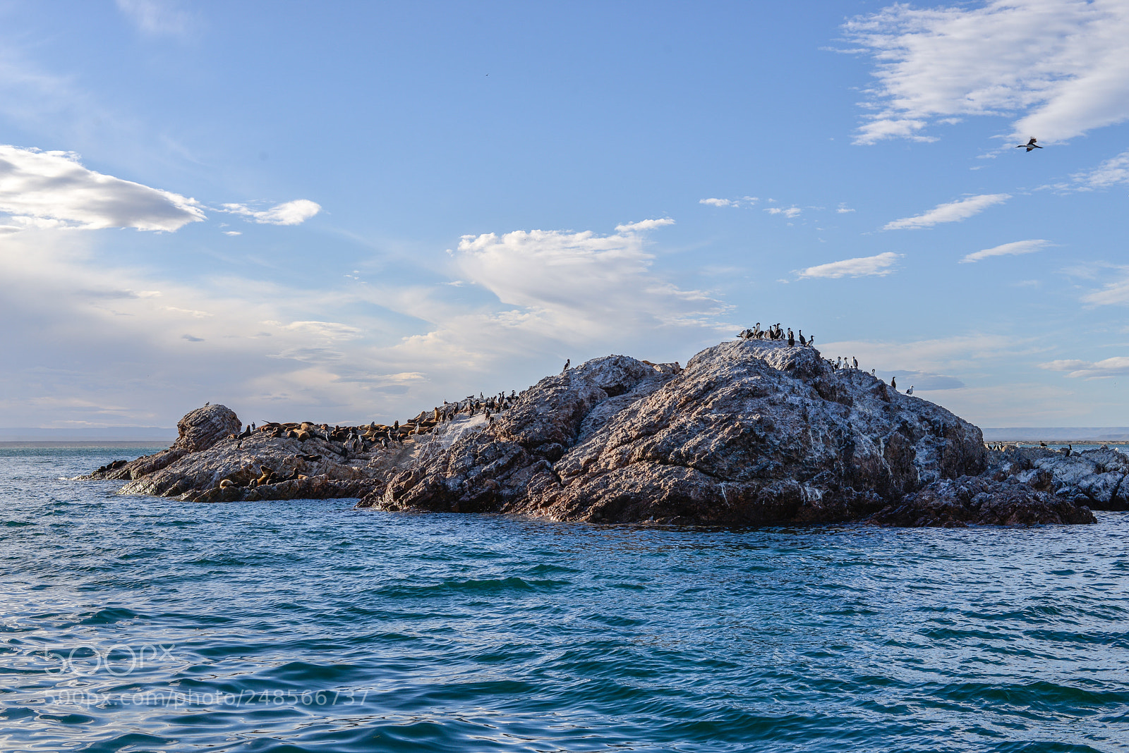 Nikon D610 sample photo. Untitled photography