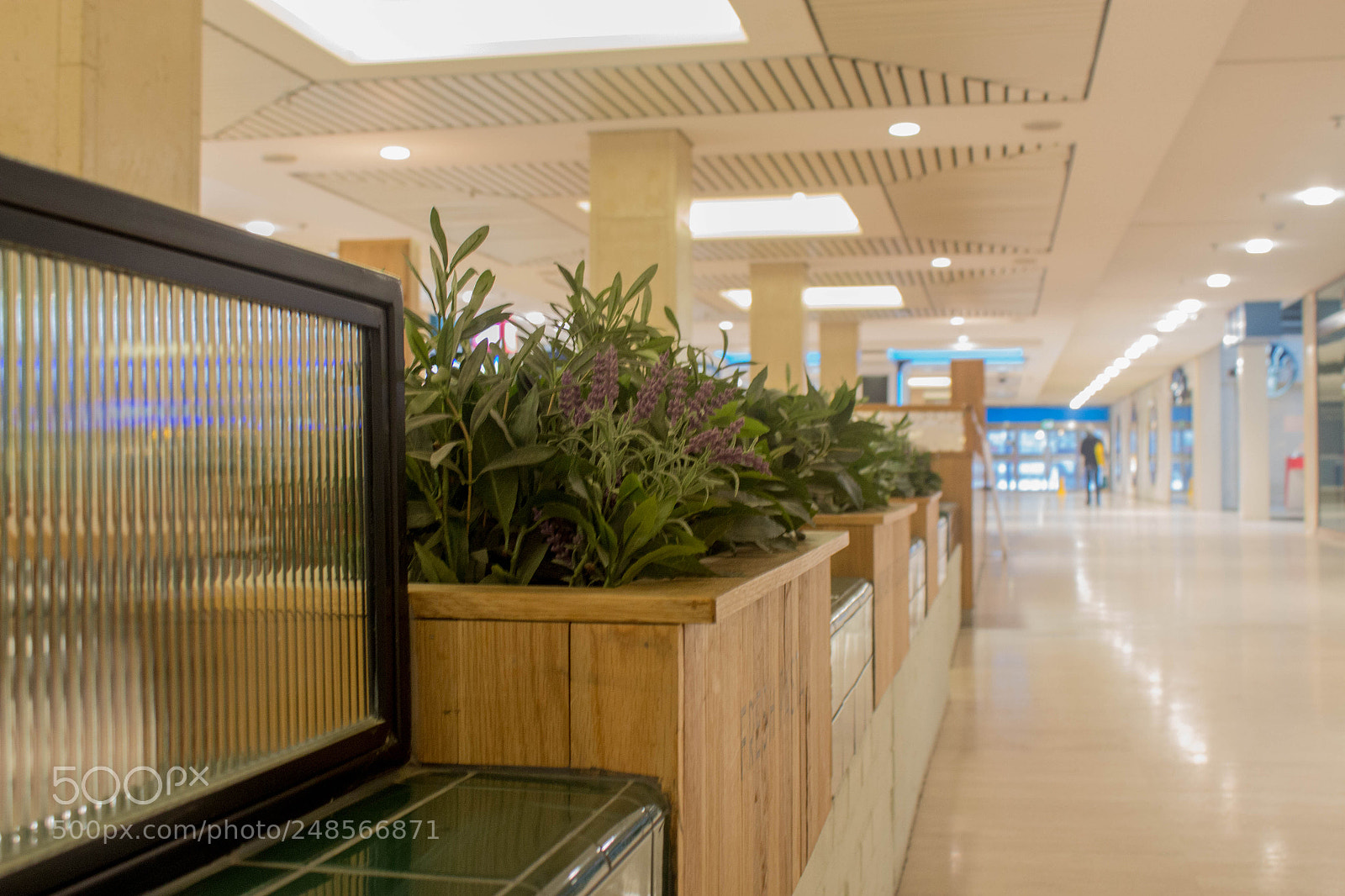 Canon EOS 700D (EOS Rebel T5i / EOS Kiss X7i) sample photo. A natural restaurant photography