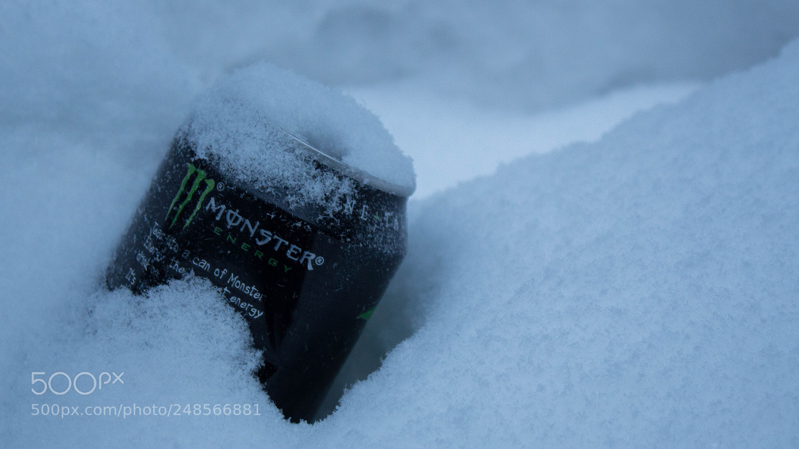 Canon EOS 700D (EOS Rebel T5i / EOS Kiss X7i) sample photo. Monster in the snow photography