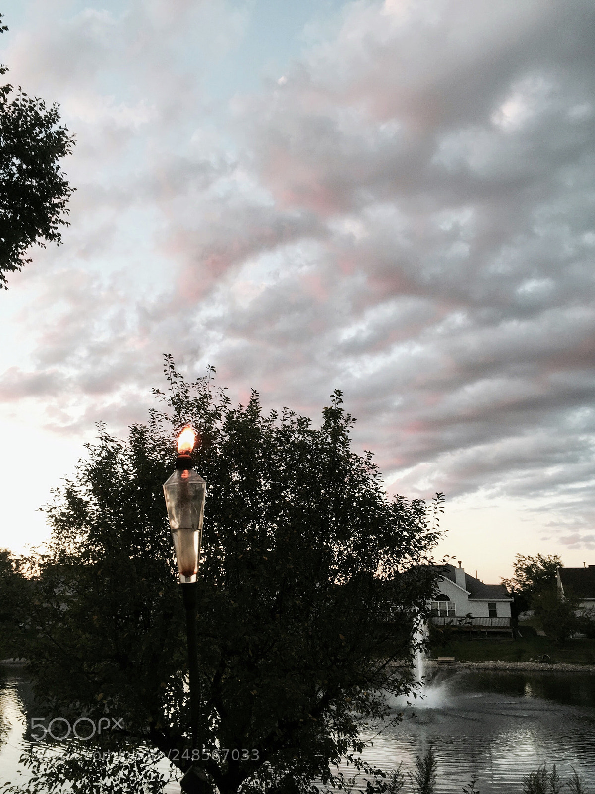 Apple iPhone 6 sample photo. Untitled photography