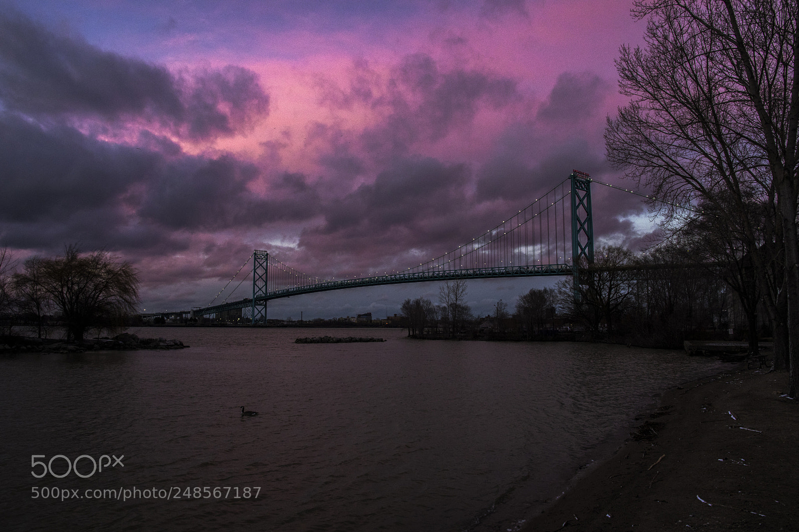 Nikon D500 sample photo. Magenta horizon. windsor, on. photography