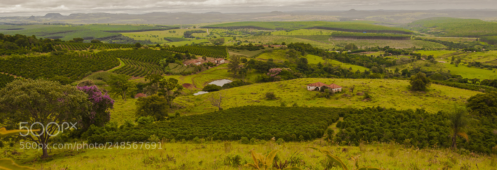 Nikon D90 sample photo. Cuesta- botucatu- brasil! photography