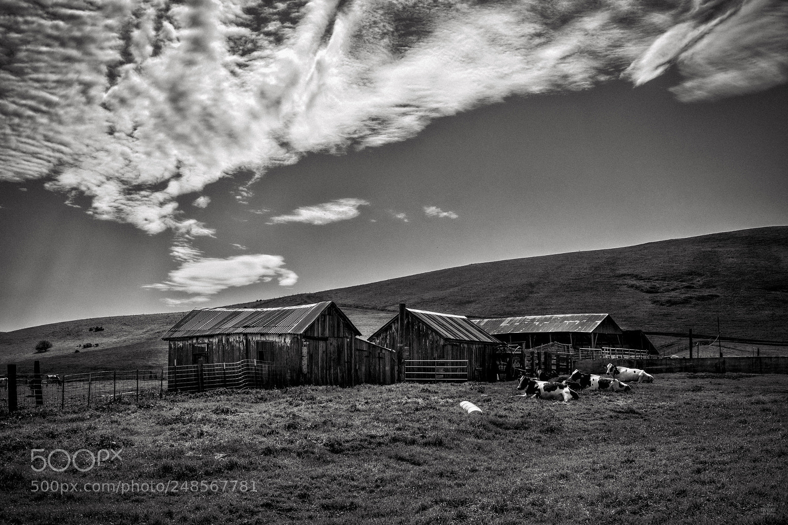 Fujifilm X-T2 sample photo. Home on the range photography
