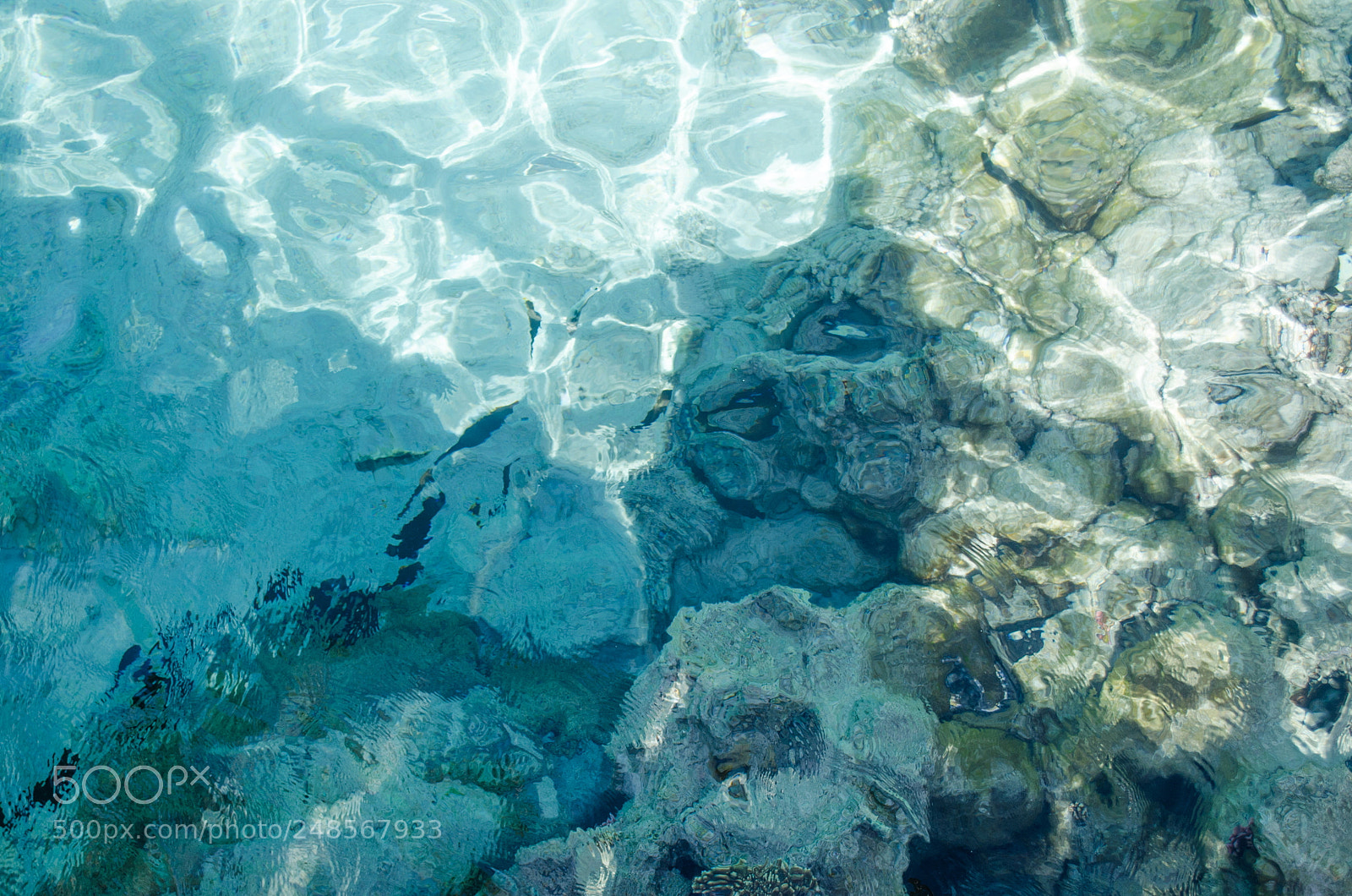 Nikon D5100 sample photo. Rocks under water photography