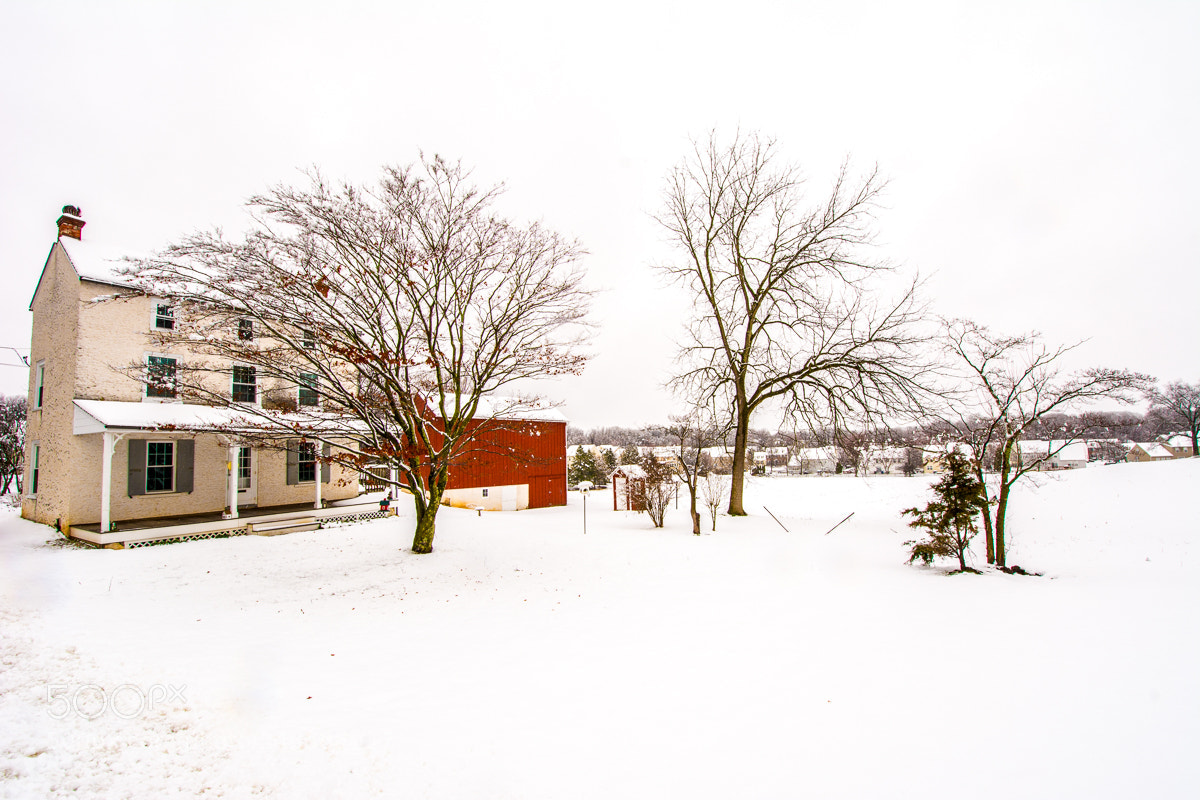 Nikon D7100 sample photo. White photography