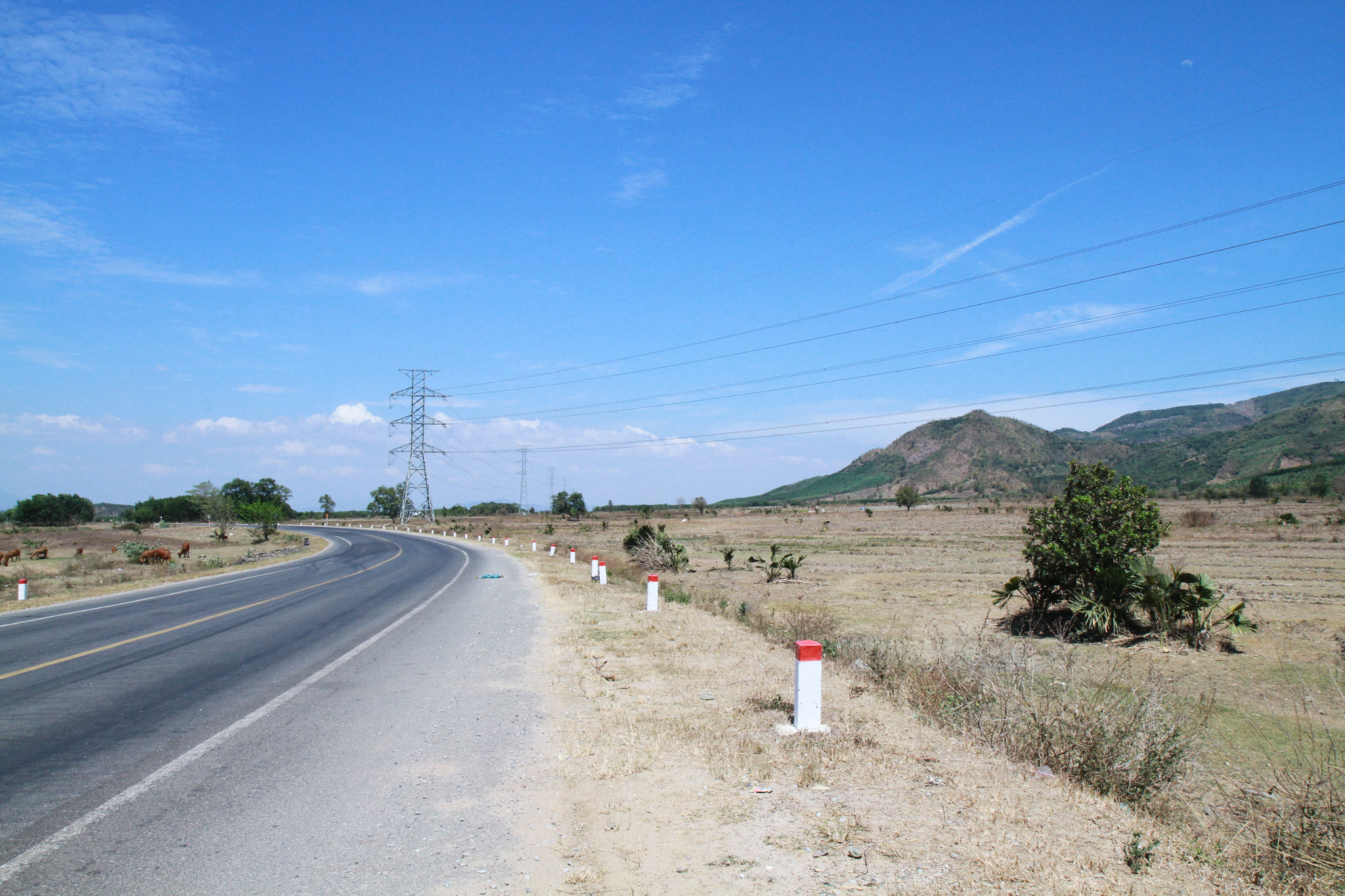 Canon EF-S 17-55mm F2.8 IS USM sample photo. Remove today about you photography