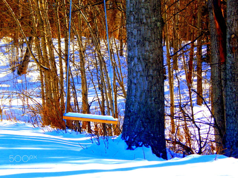 Nikon Coolpix L830 sample photo. A swing waiting for photography