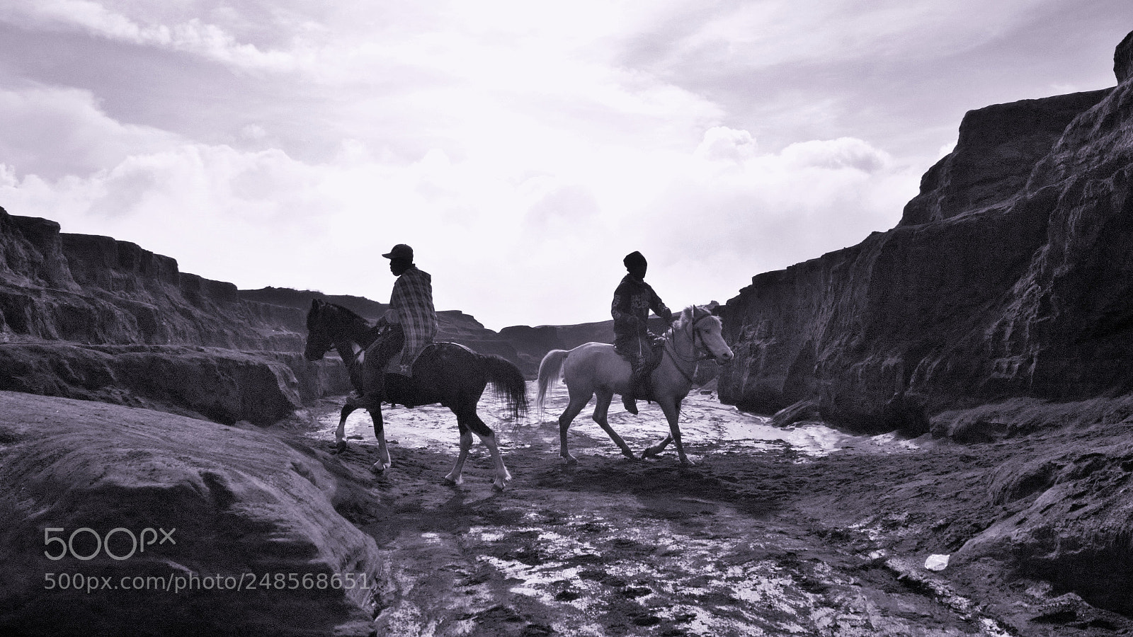 Canon EOS 60D sample photo. Bromo's horse photography
