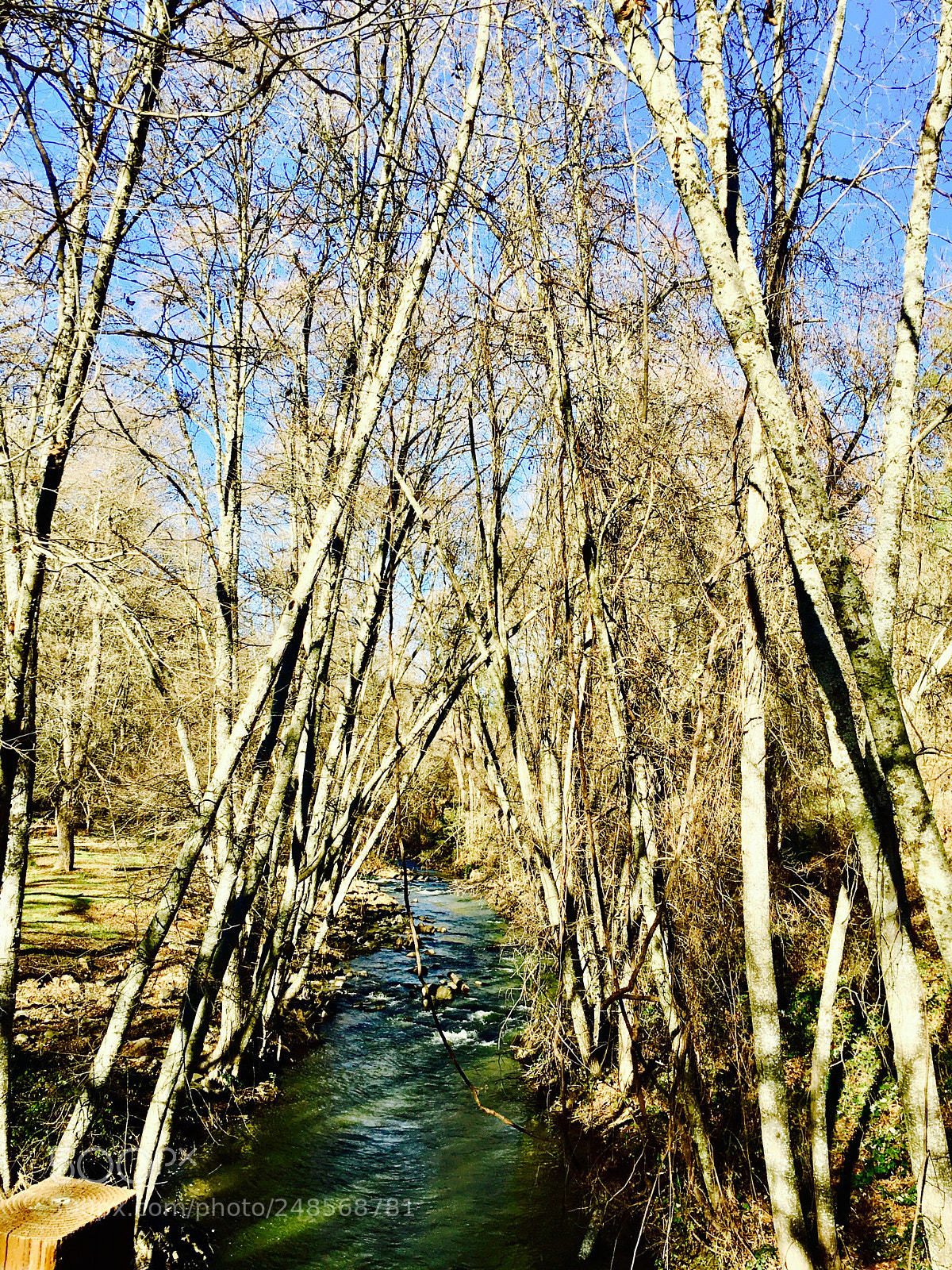 Apple iPhone 6s sample photo. Winter river photography