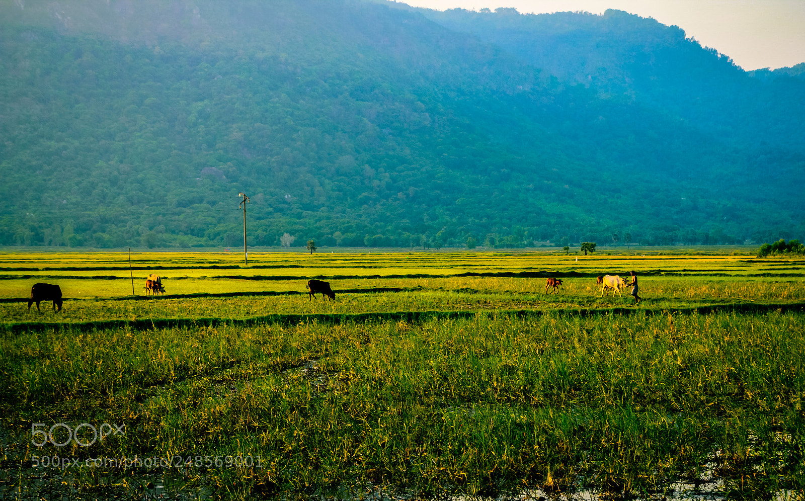 Canon EOS 60D sample photo. Tri ton - an photography