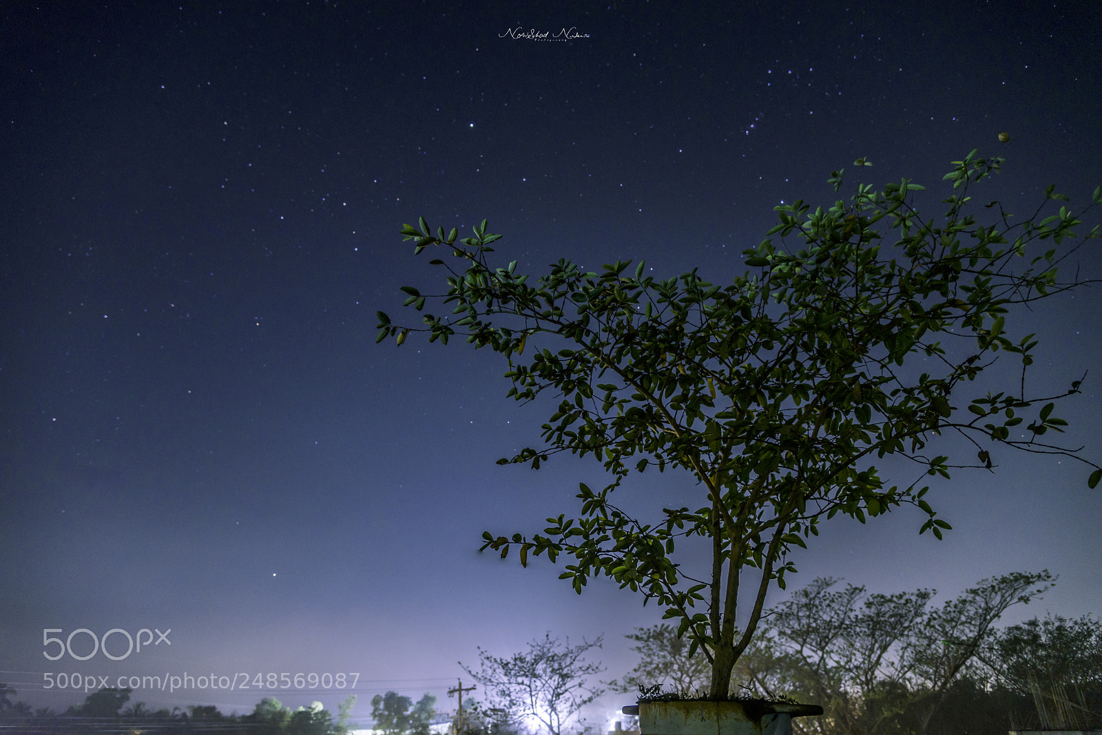 Nikon D750 sample photo. Idle night sky photography