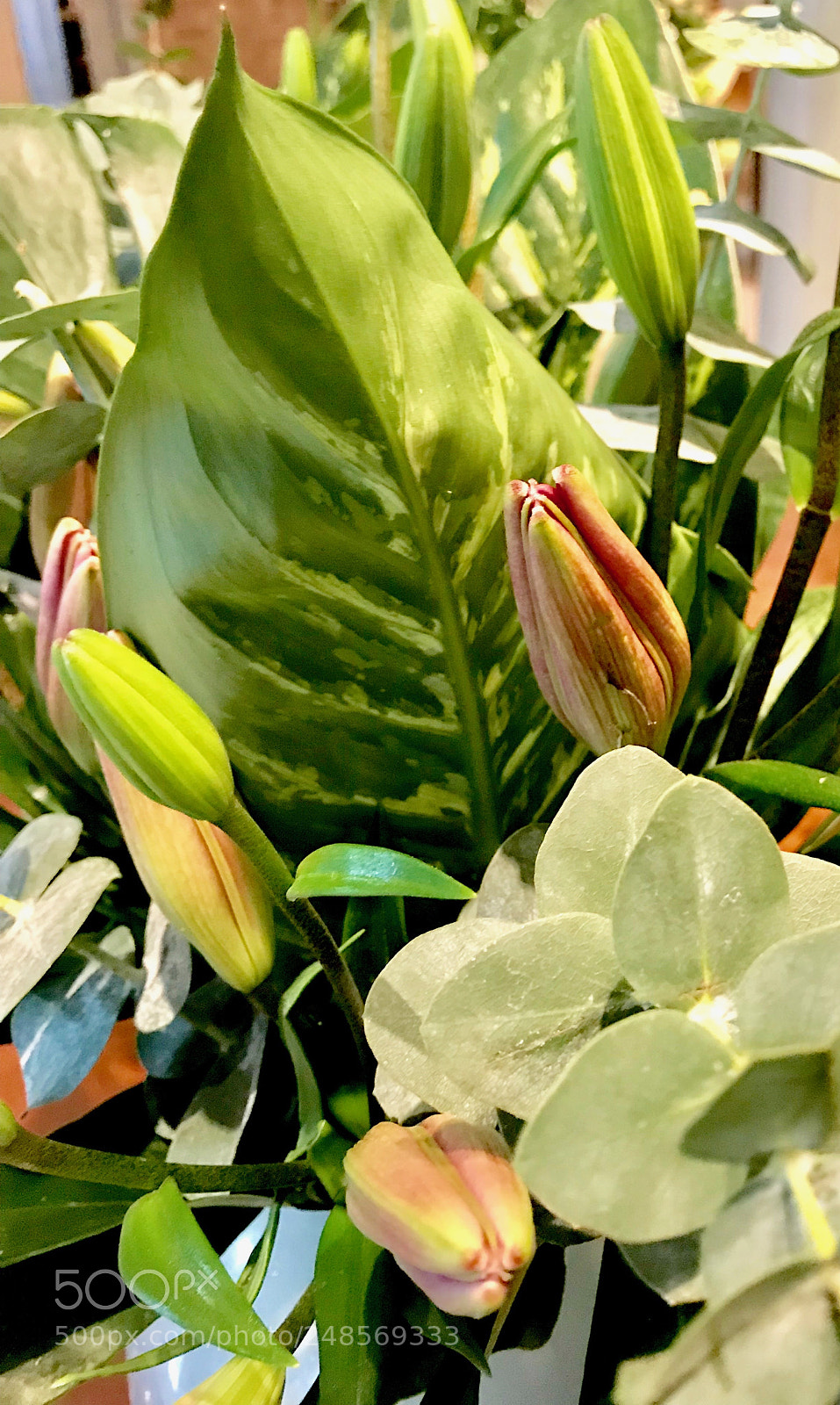 Apple iPhone 7 sample photo. Morning surprise photography