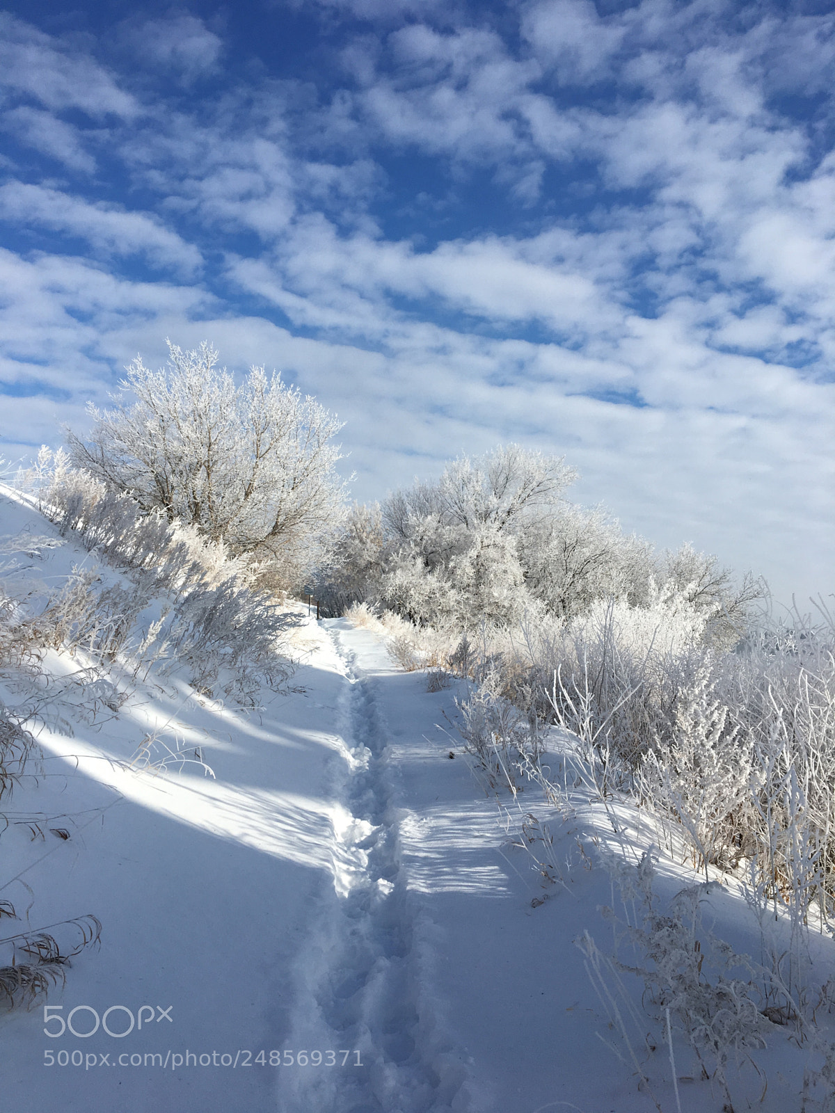 Apple iPhone 6s sample photo. Winter photography