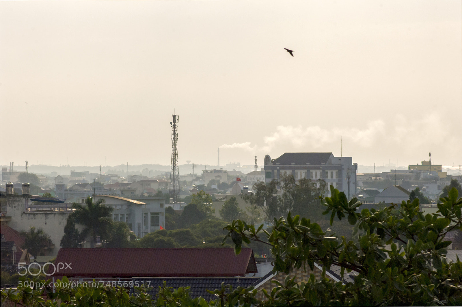 Nikon D2X sample photo. 165.jpg photography
