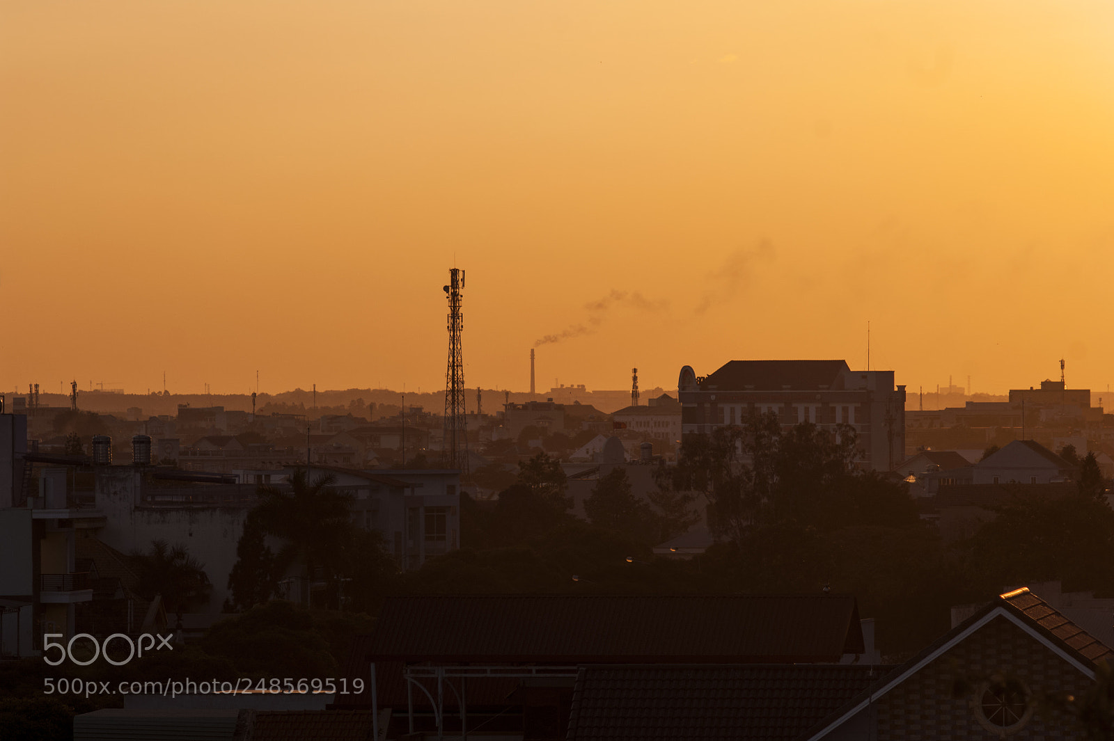 Nikon D2X sample photo. 156.jpg photography