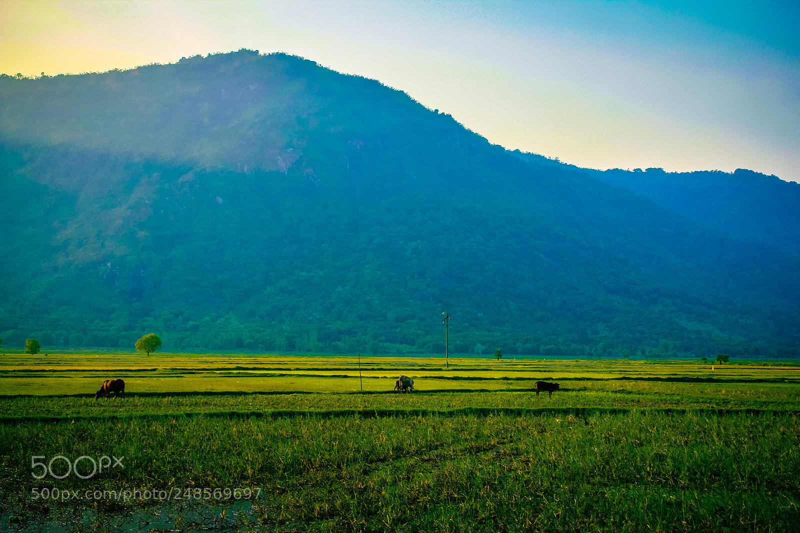 Canon EOS 60D sample photo. Tri ton - an photography