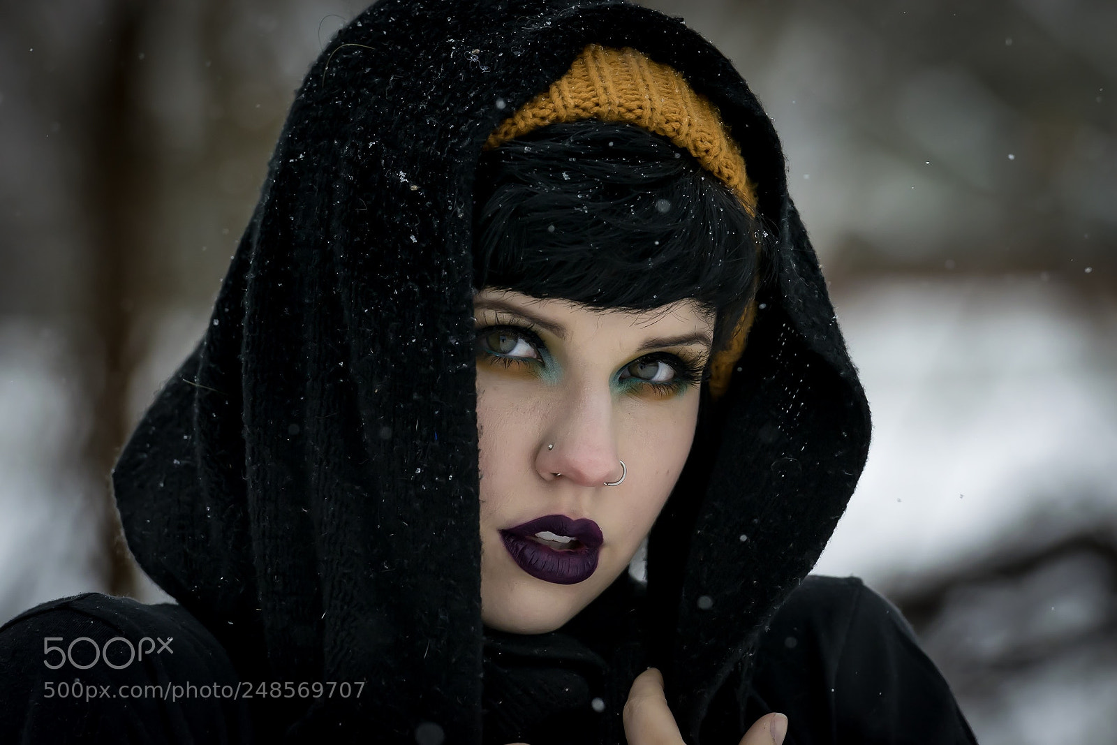 Nikon D5300 sample photo. Snow day photography