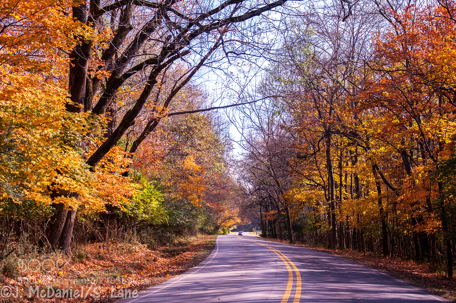Nikon D90 sample photo. Changing of colors photography