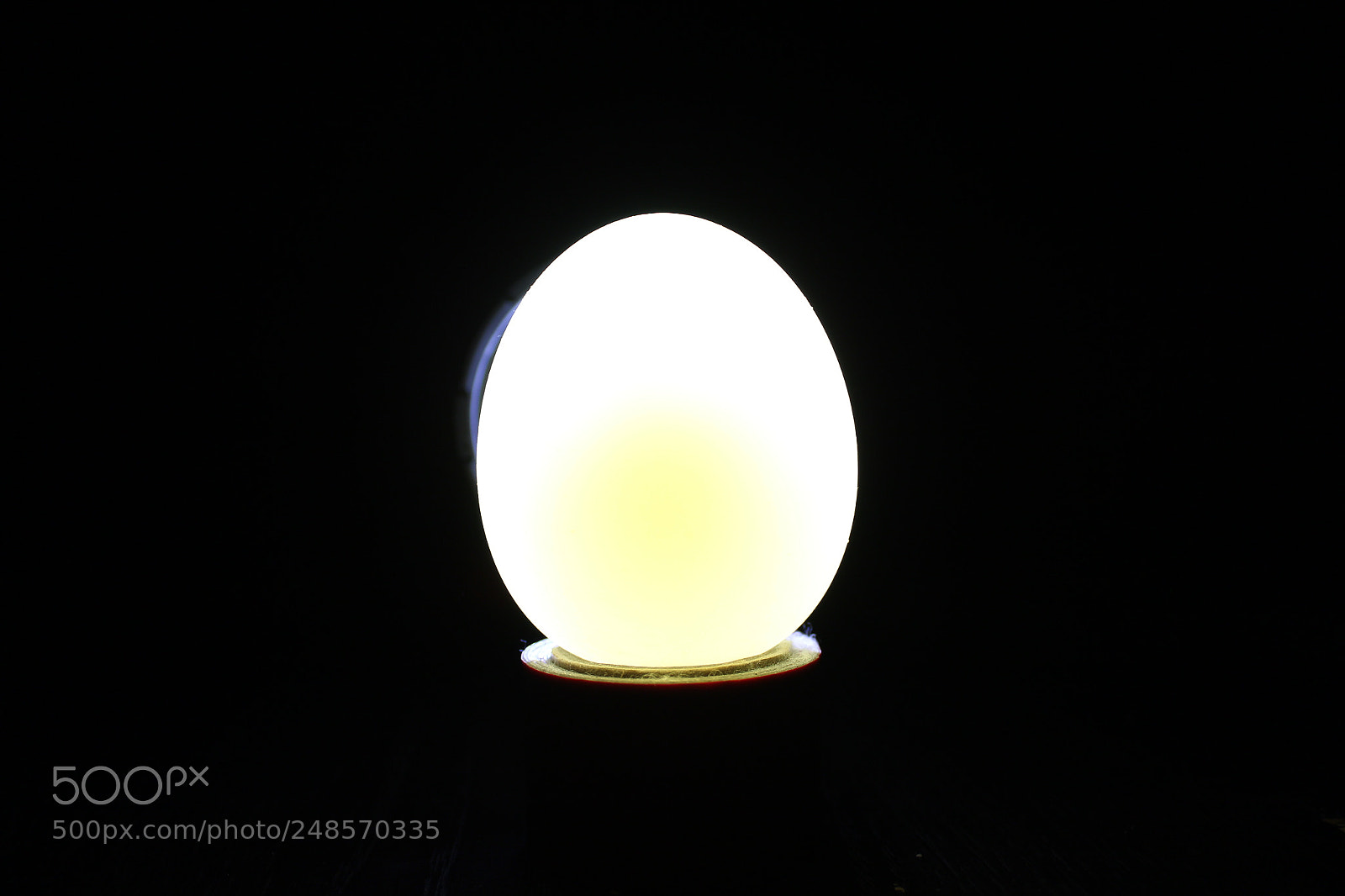 Canon EOS 1300D (EOS Rebel T6 / EOS Kiss X80) sample photo. Egg & yolk photography