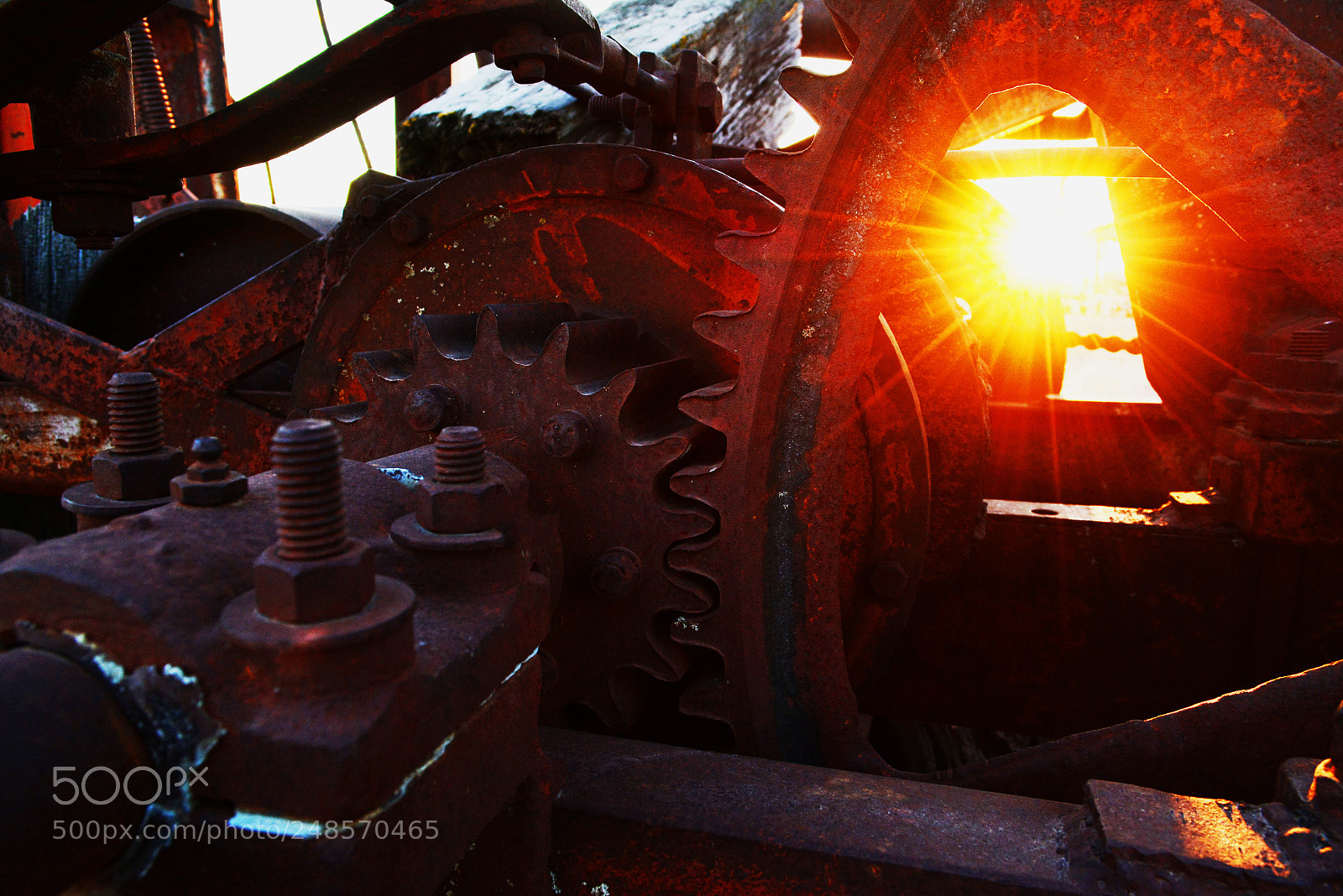 Nikon D7100 sample photo. Draw works photography