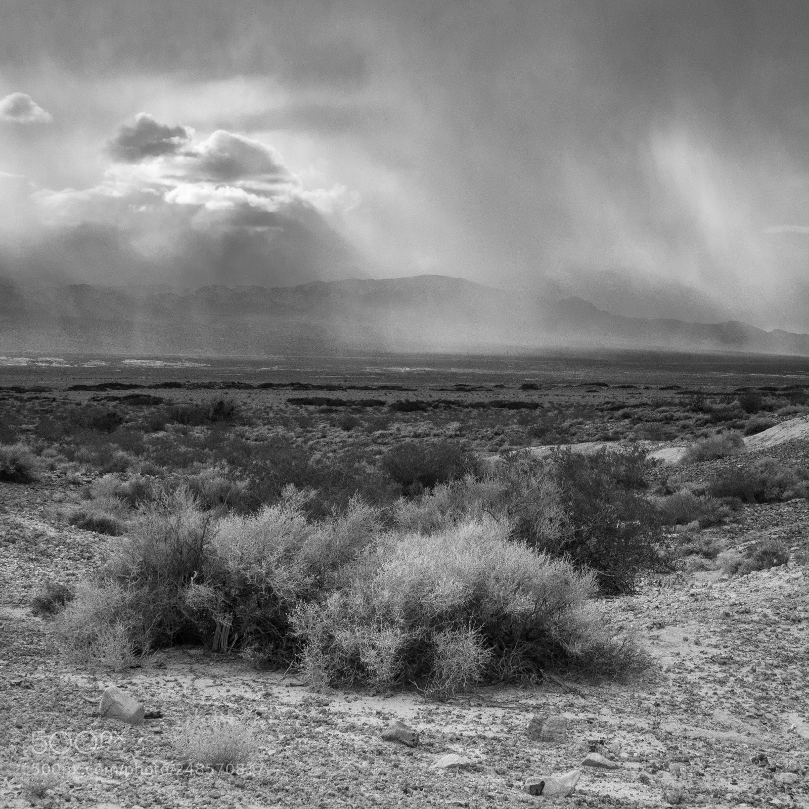 Olympus PEN E-PL7 sample photo. Nevada, usa photography