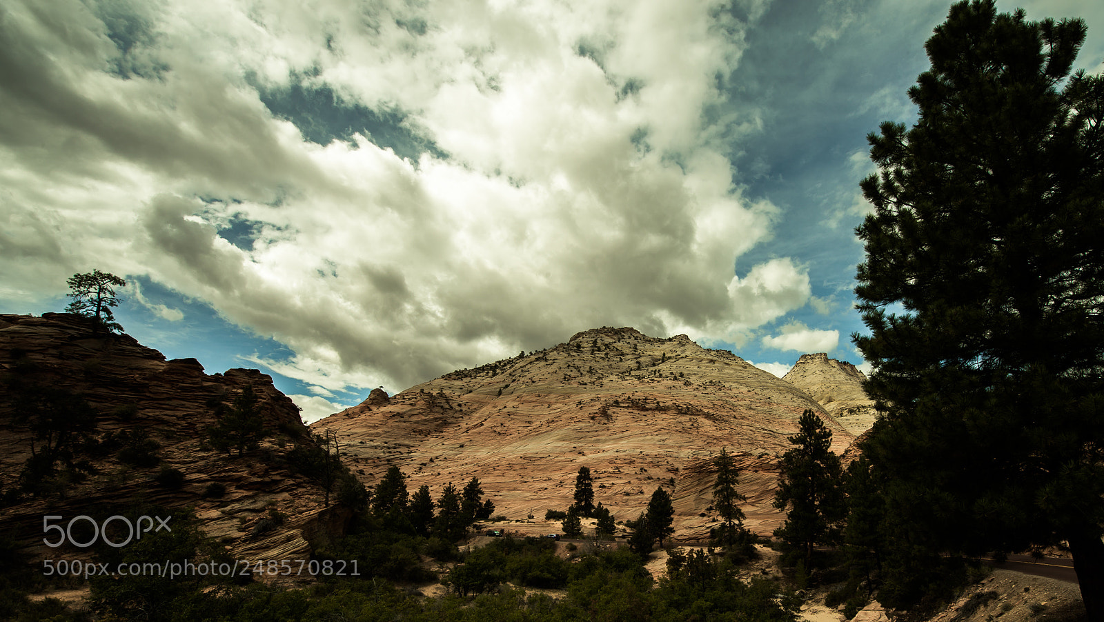 Nikon D4 sample photo. Dark sky - zion photography