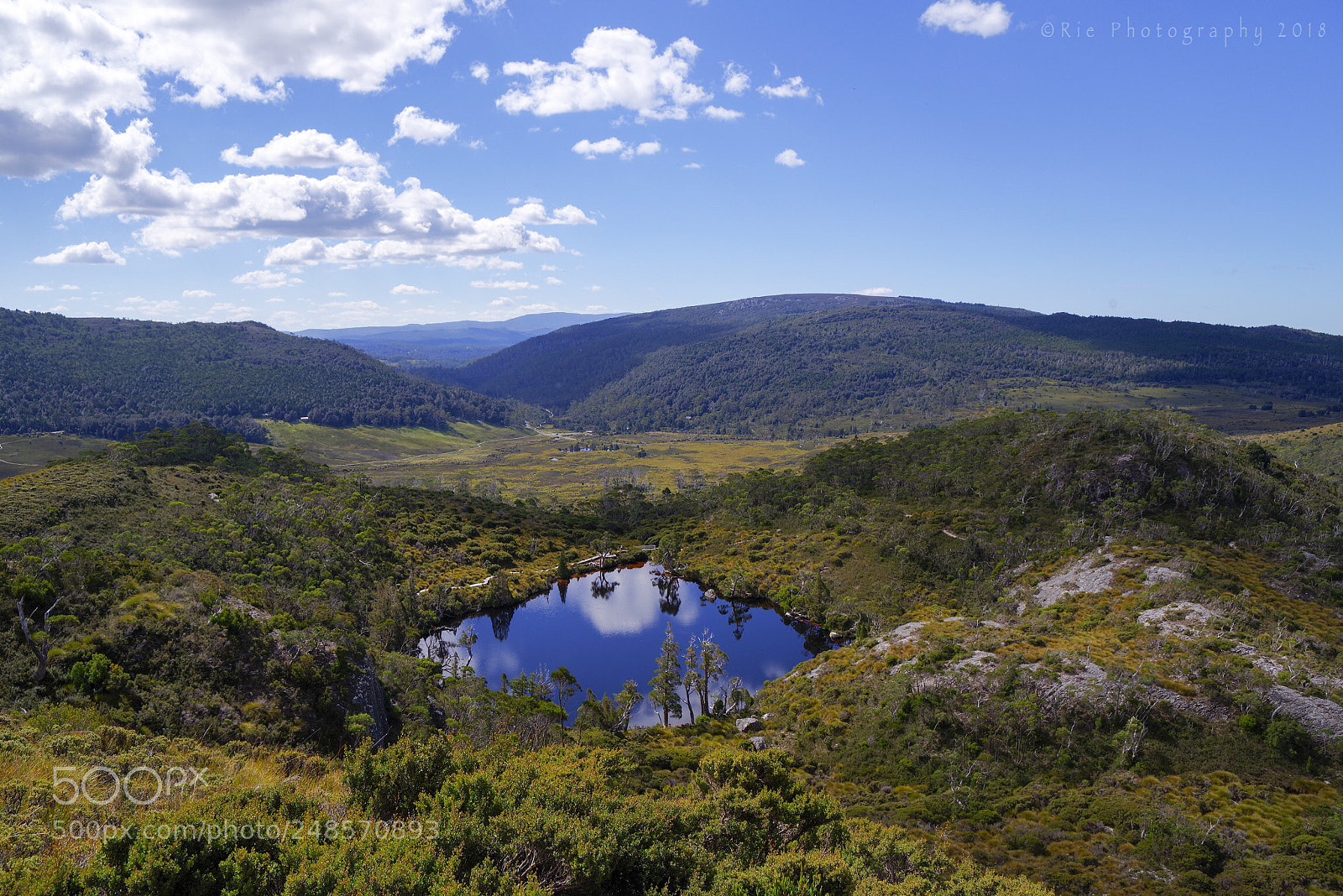 Pentax K-1 sample photo. Wombat pool photography
