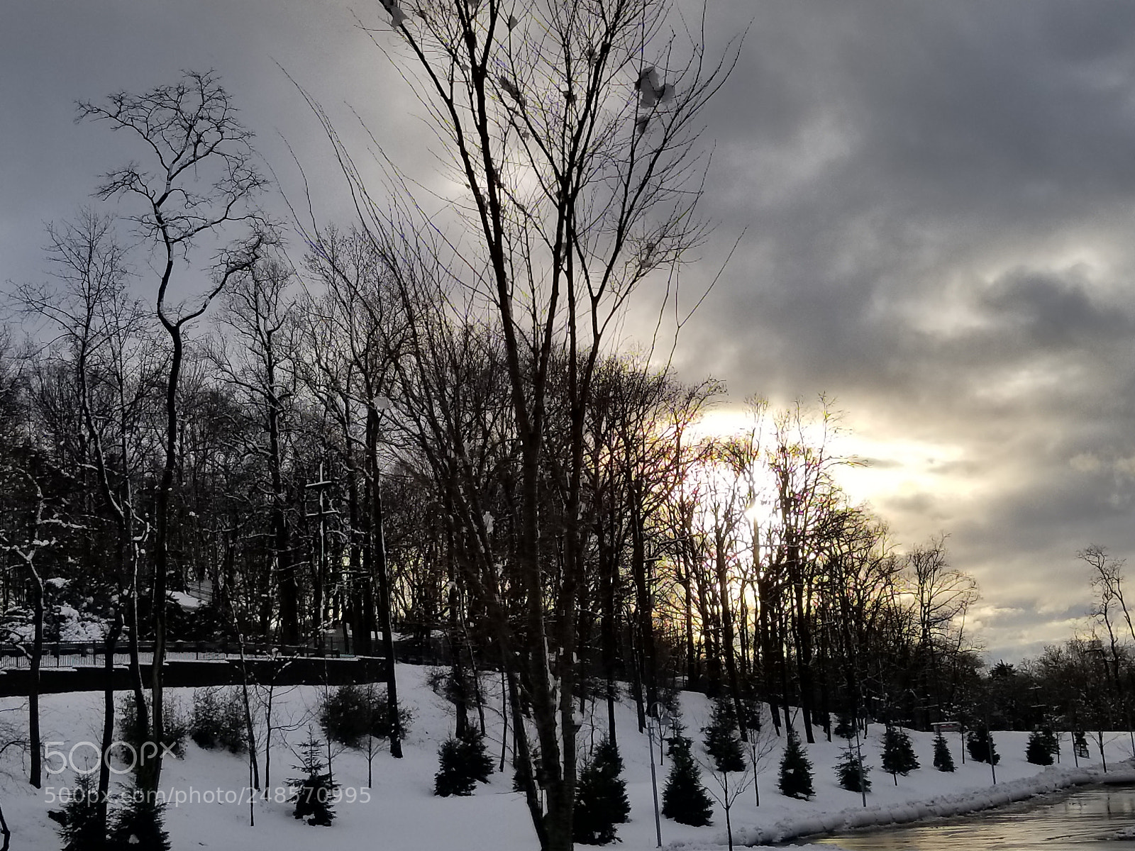 Samsung Galaxy S8+ sample photo. Untitled photography