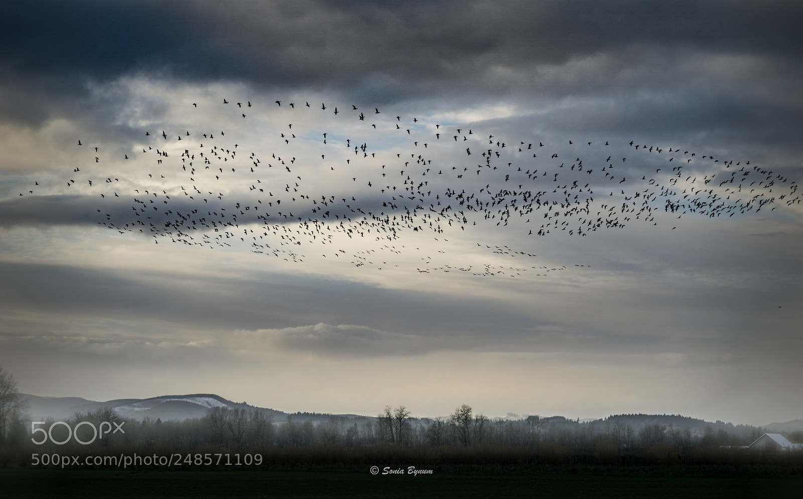 Sony a6000 sample photo. Flight photography